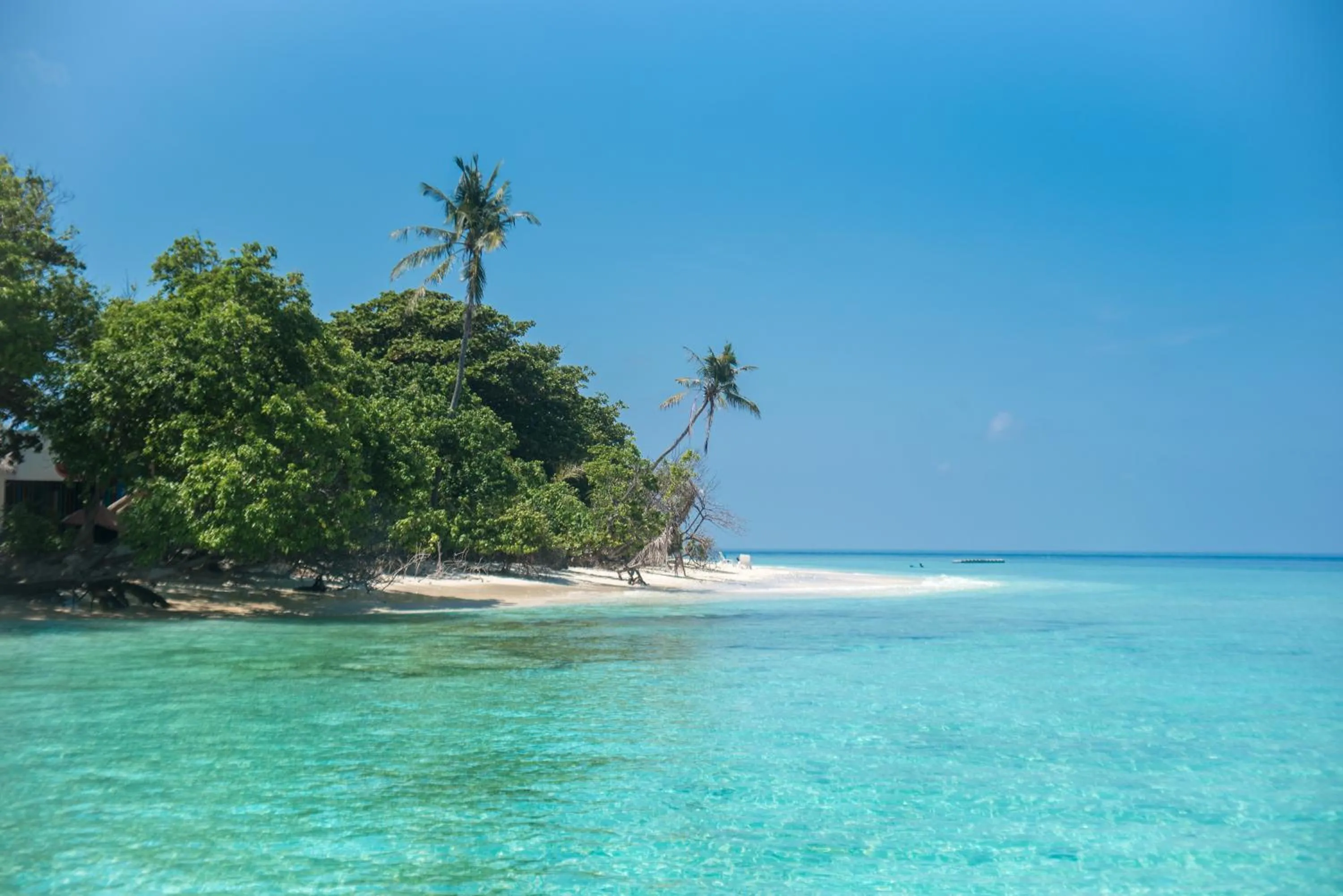 Natural landscape in Thundi Village & Spa