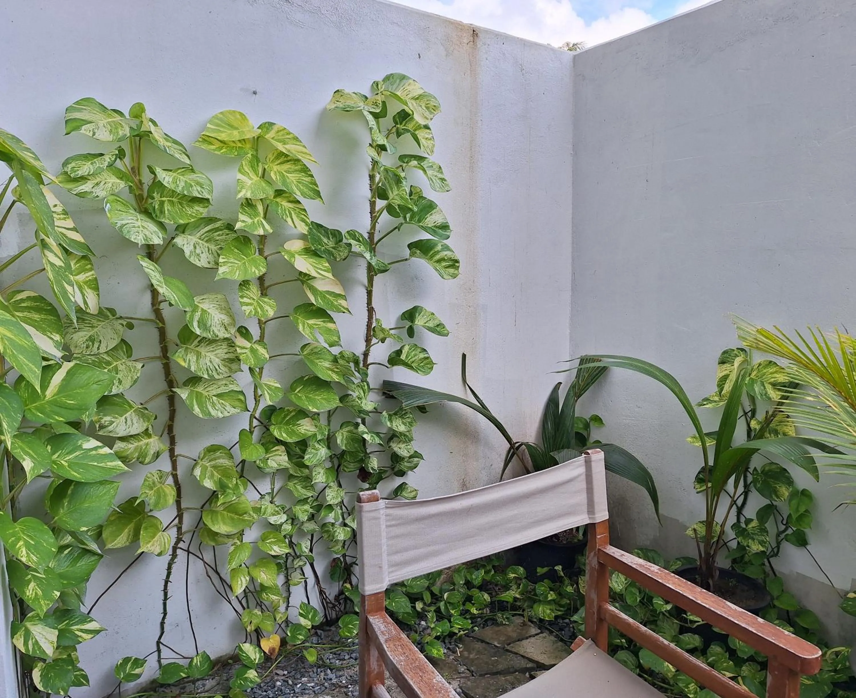 Garden in Thundi Village & Spa