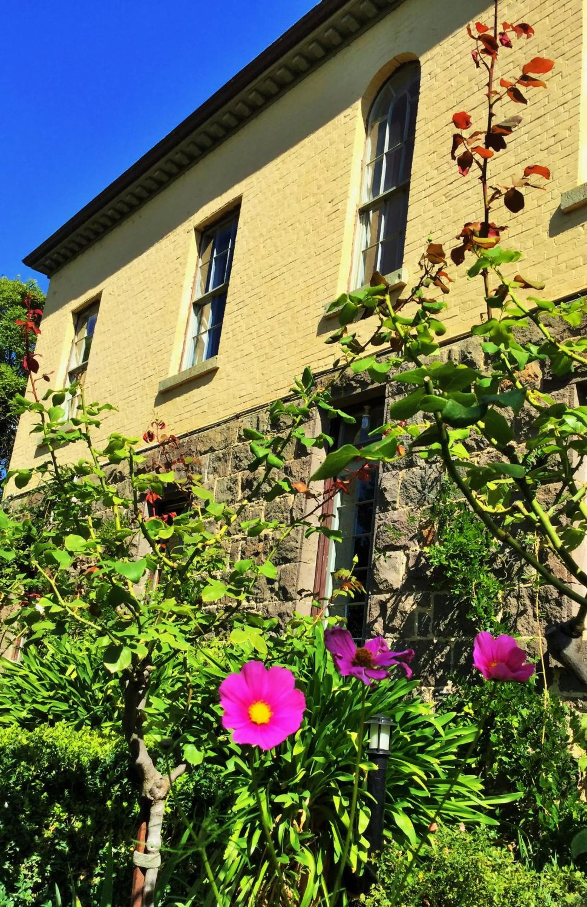 Bindley House B&B Cottage