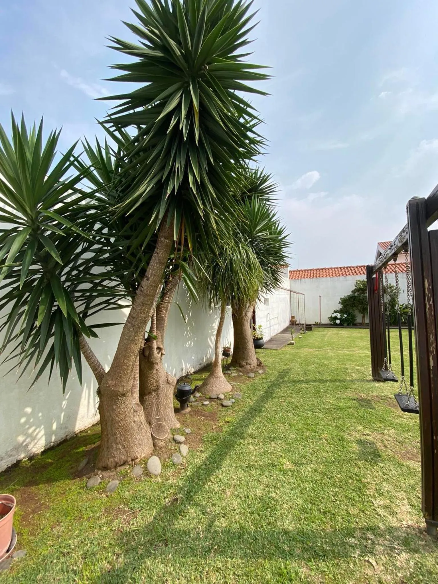 Day in Apartamentos São João