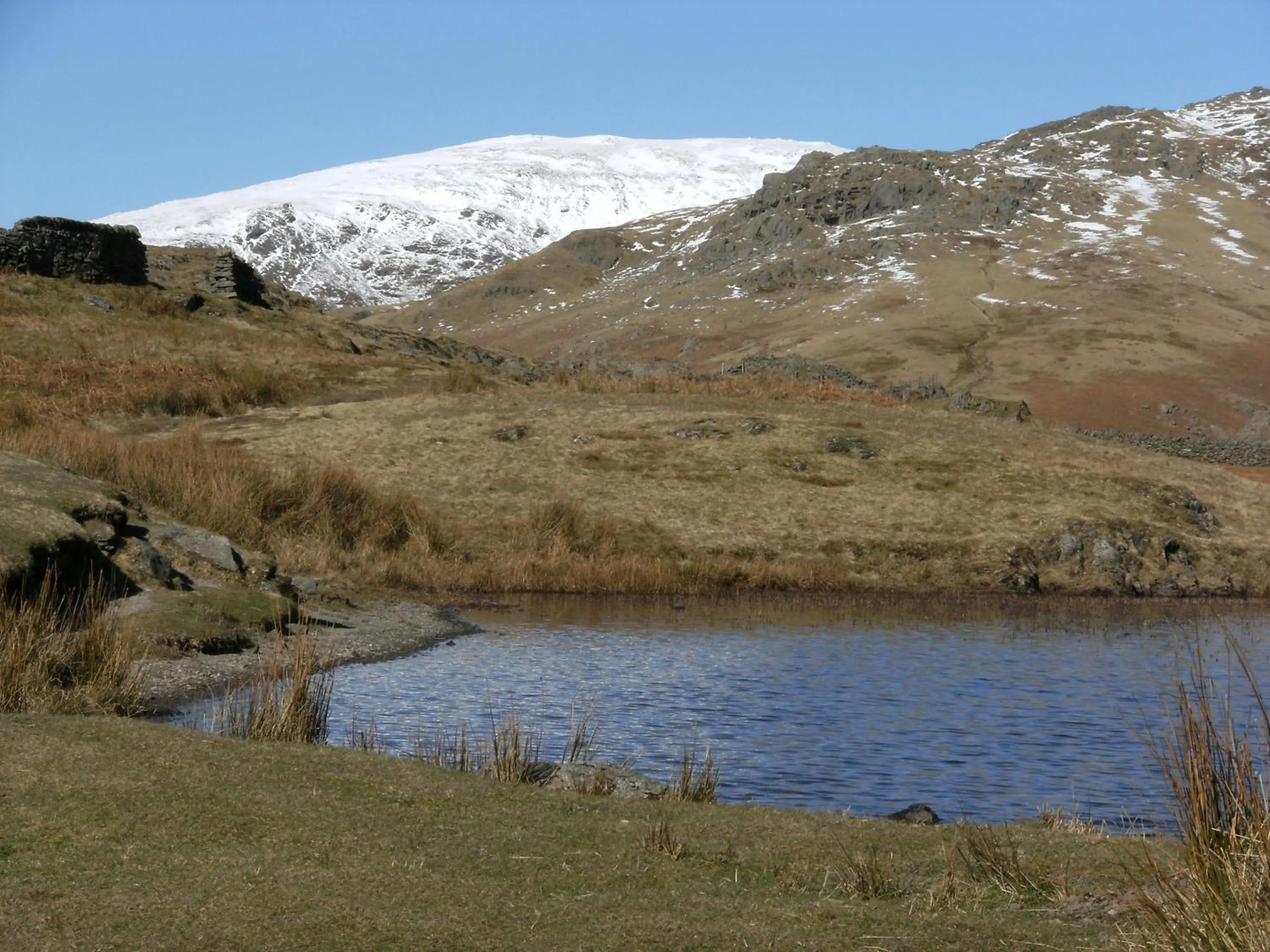 Natural landscape in Glen Wynne Windermere - FREE off-site Health Club access with Pool, Sauna, Steam Room & Gym Short 5 Minute Drive Away