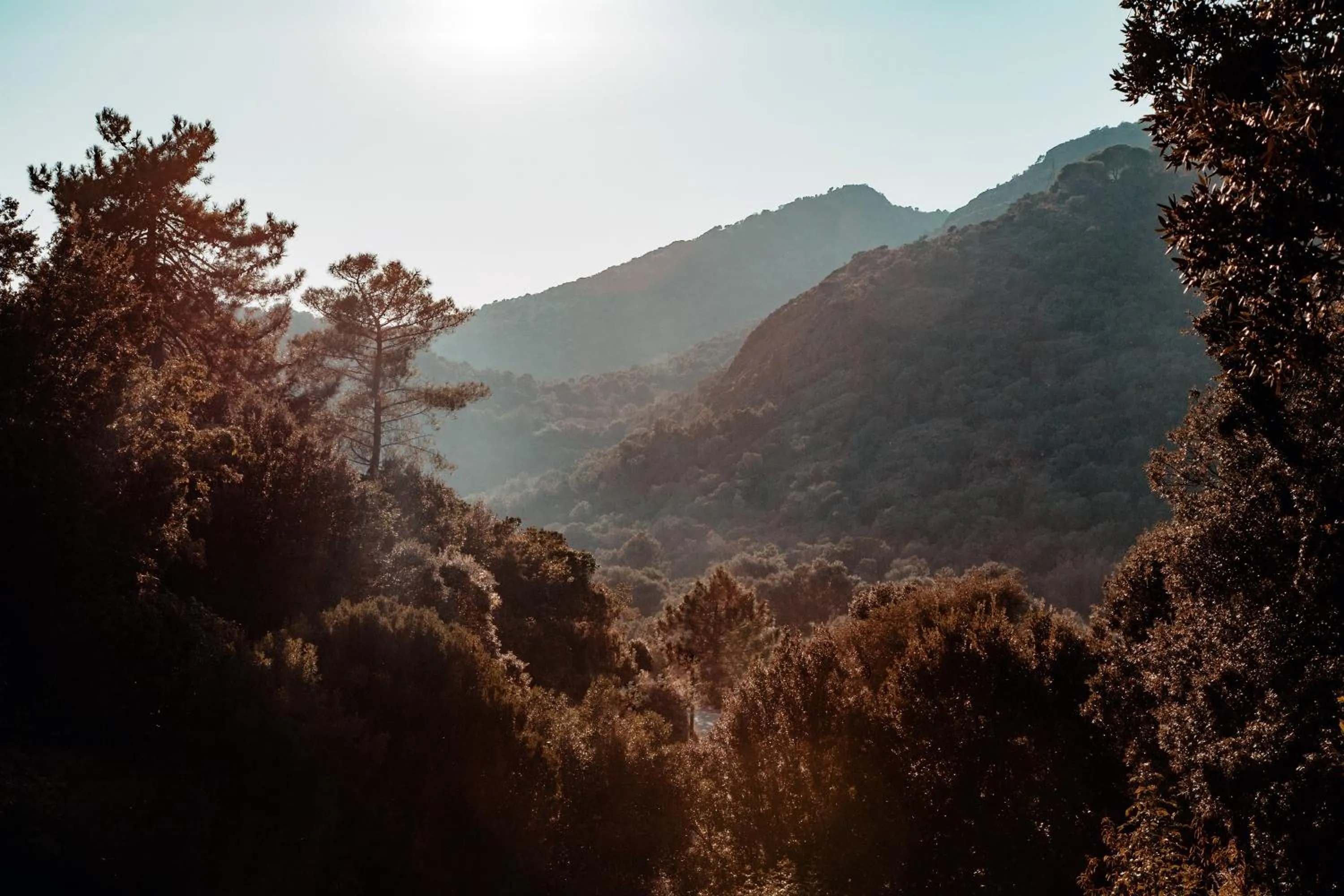 View (from property/room) in L'Aiglon