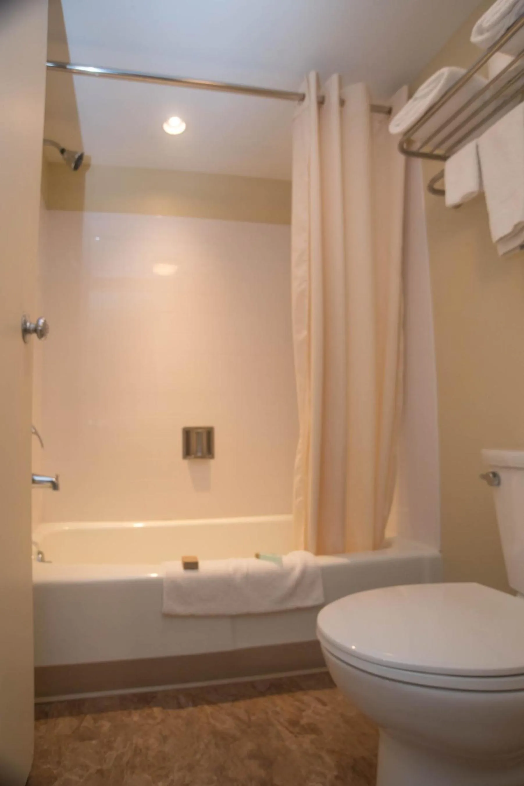 Toilet in Colonnade Inn