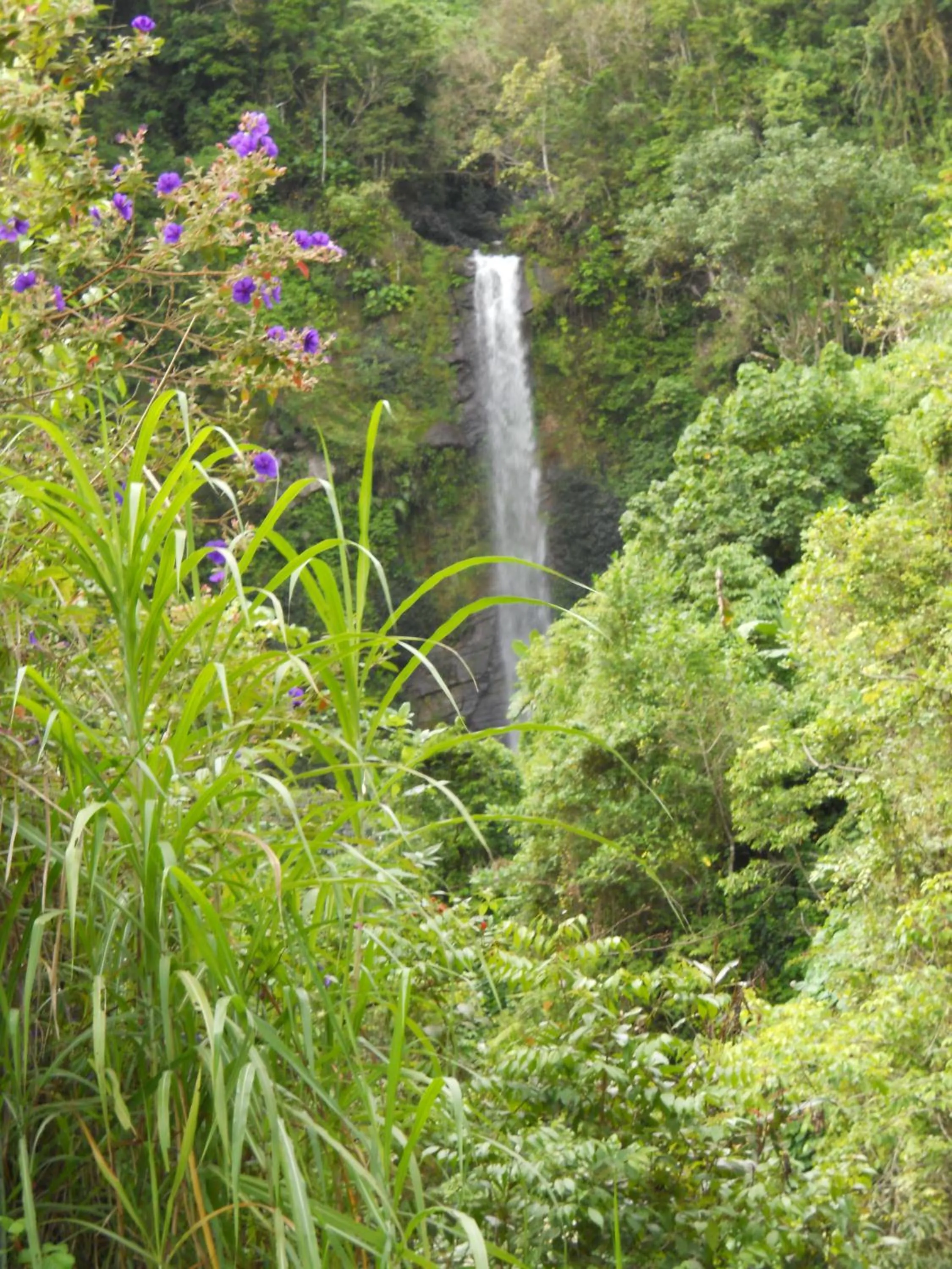 Natural landscape in Moon San Villa at the Blue Lagoon