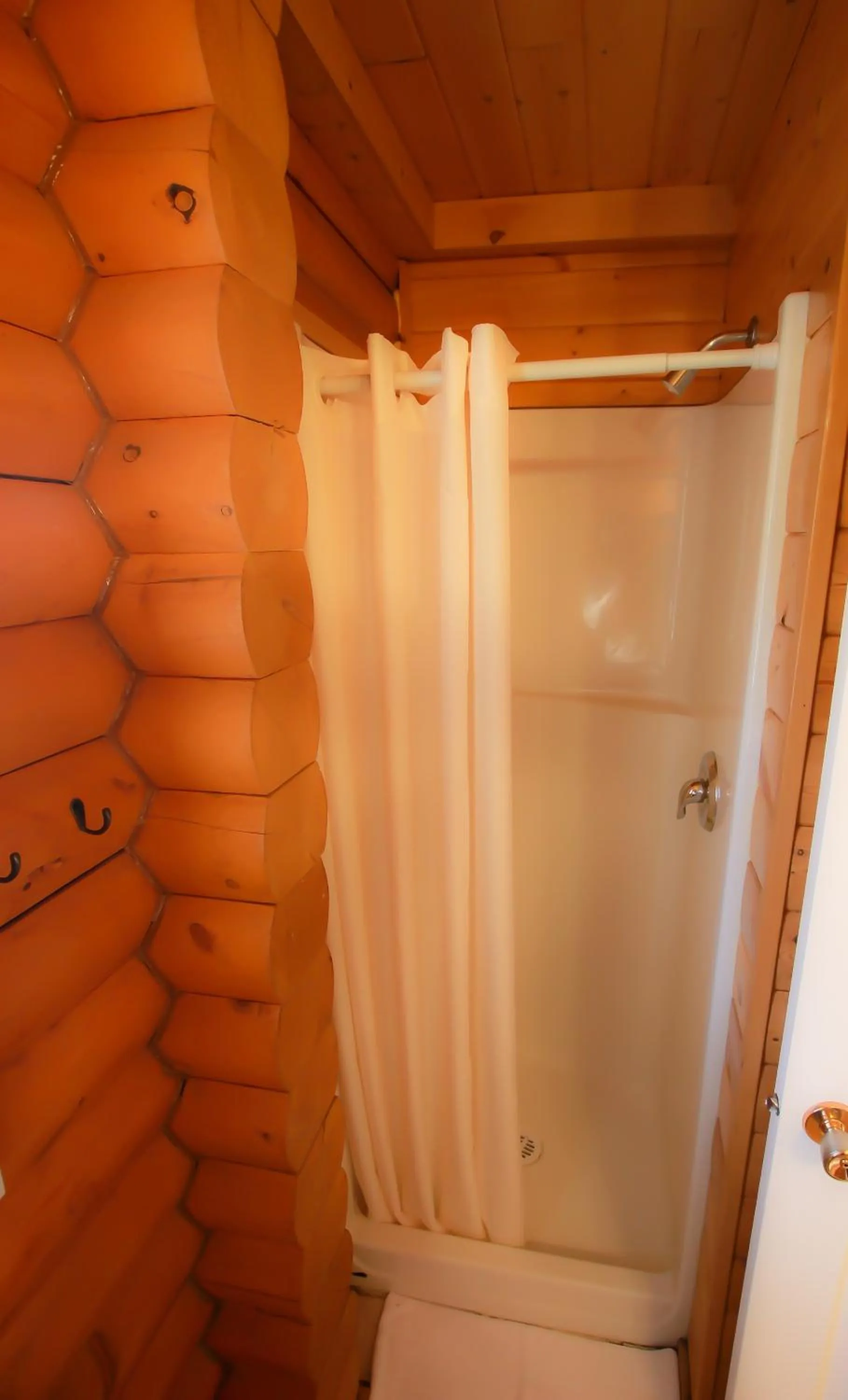 Shower in Mt. Revelstoke Alpine Chalets