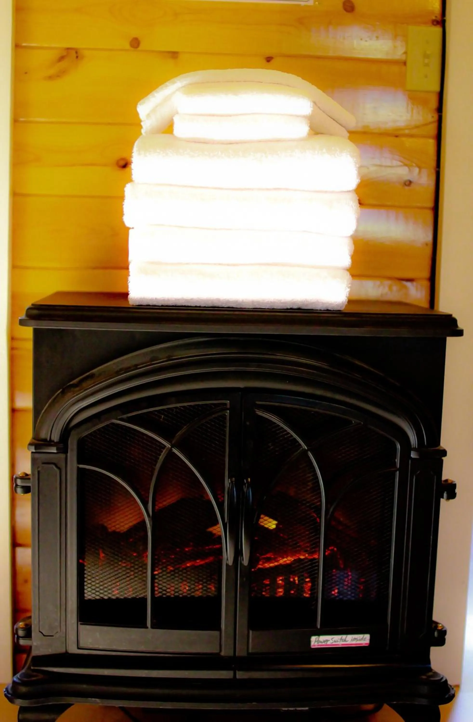 Living room in Mt. Revelstoke Alpine Chalets