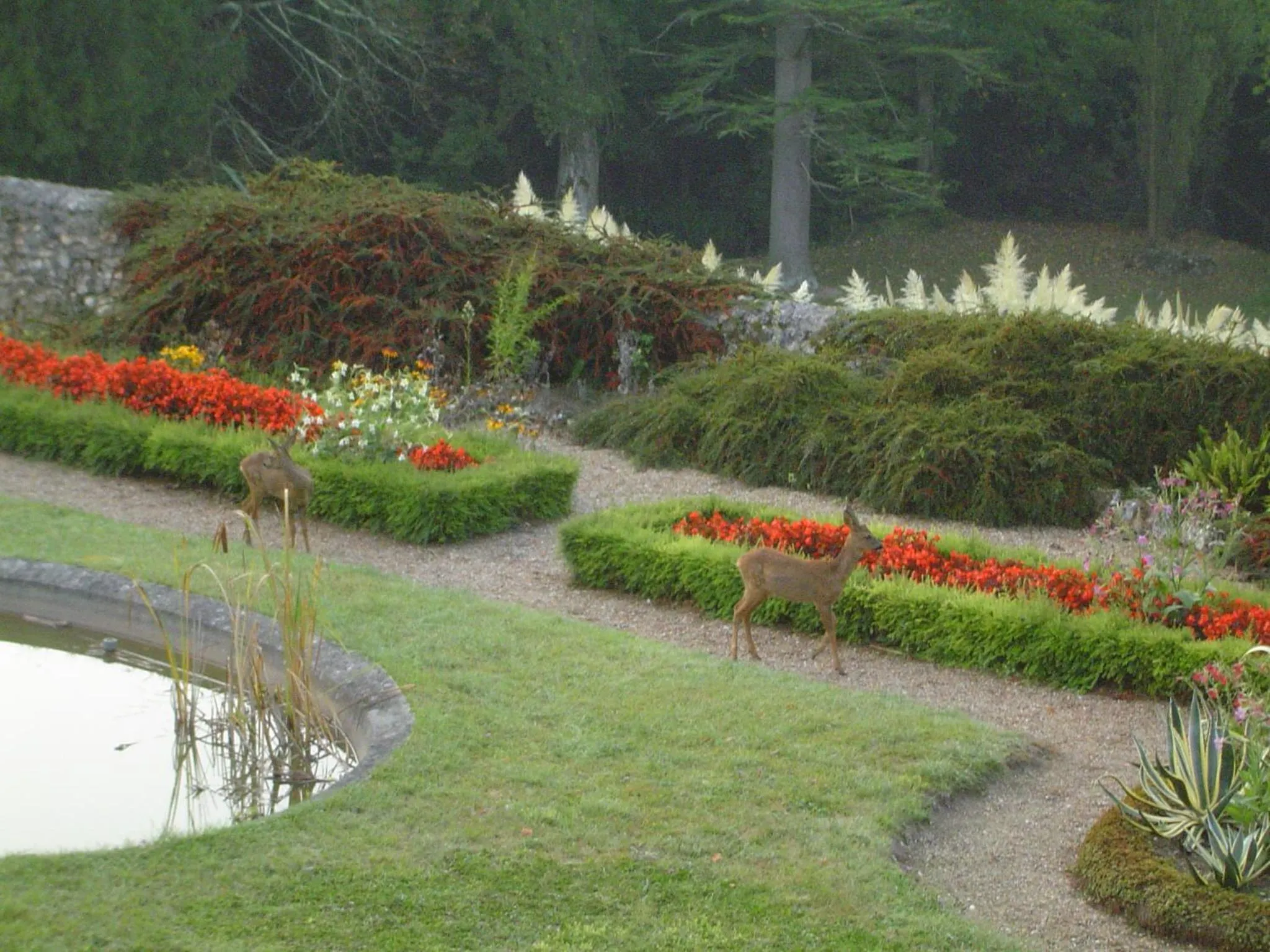 Garden in Chateau de Vaugrignon - Beer Spa