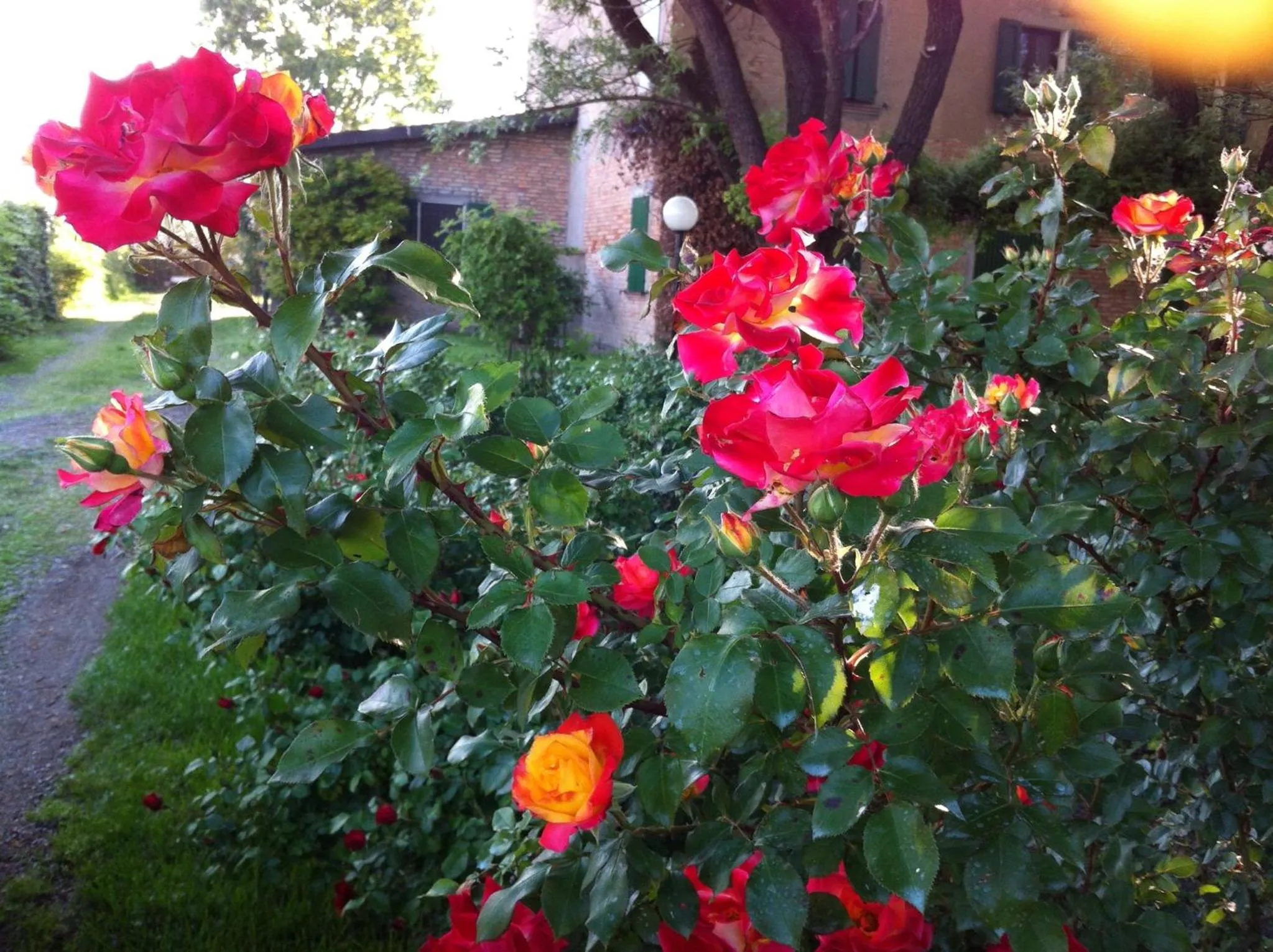 Garden view in Casa a Soliera