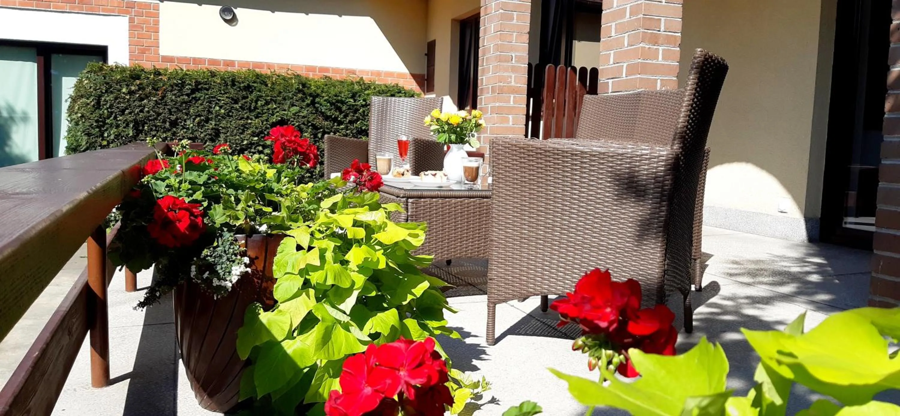 Patio in WILLA BAJLAND