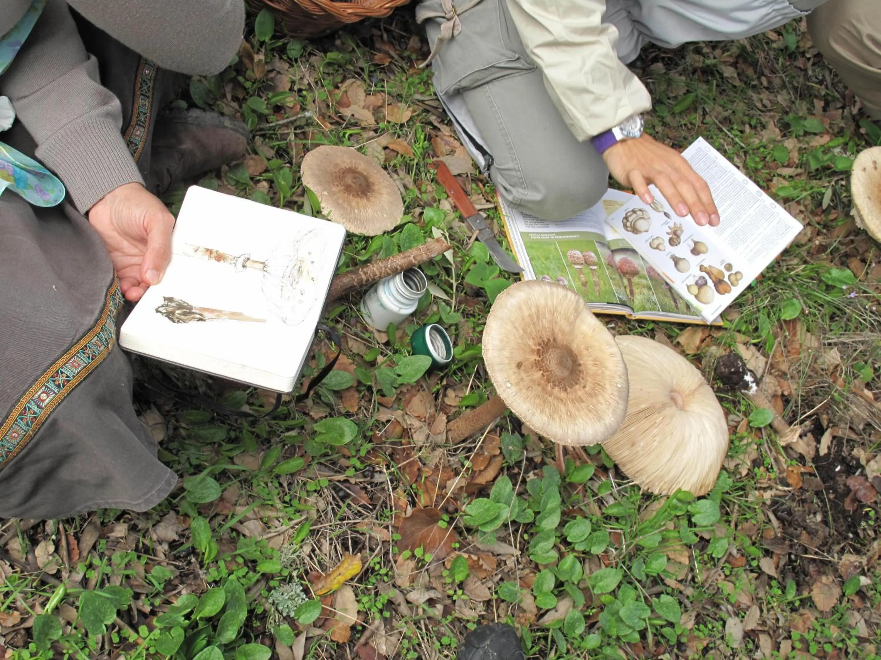 Hiking in The Nest by Cooking and Nature