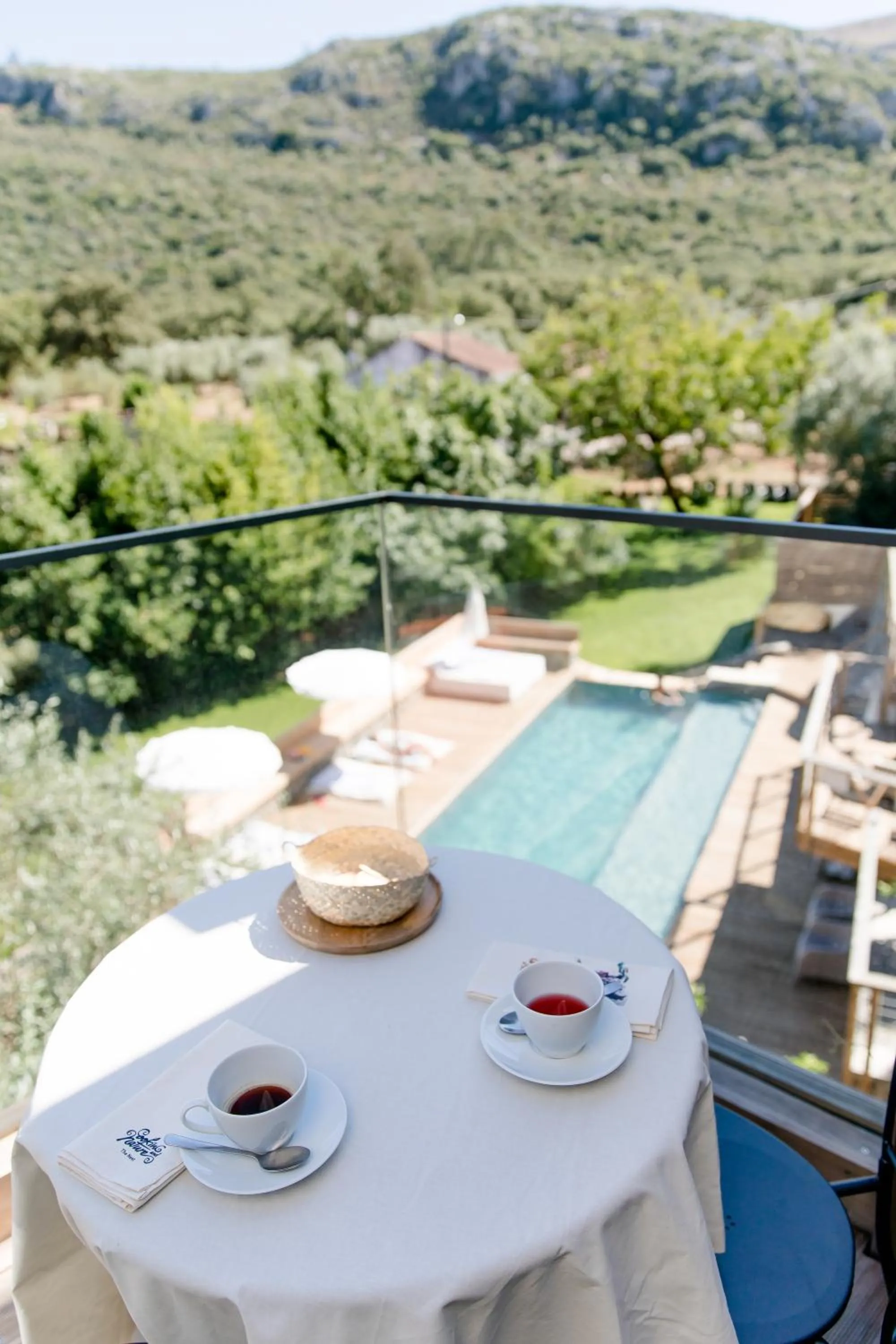 The Nest by Cooking and Nature