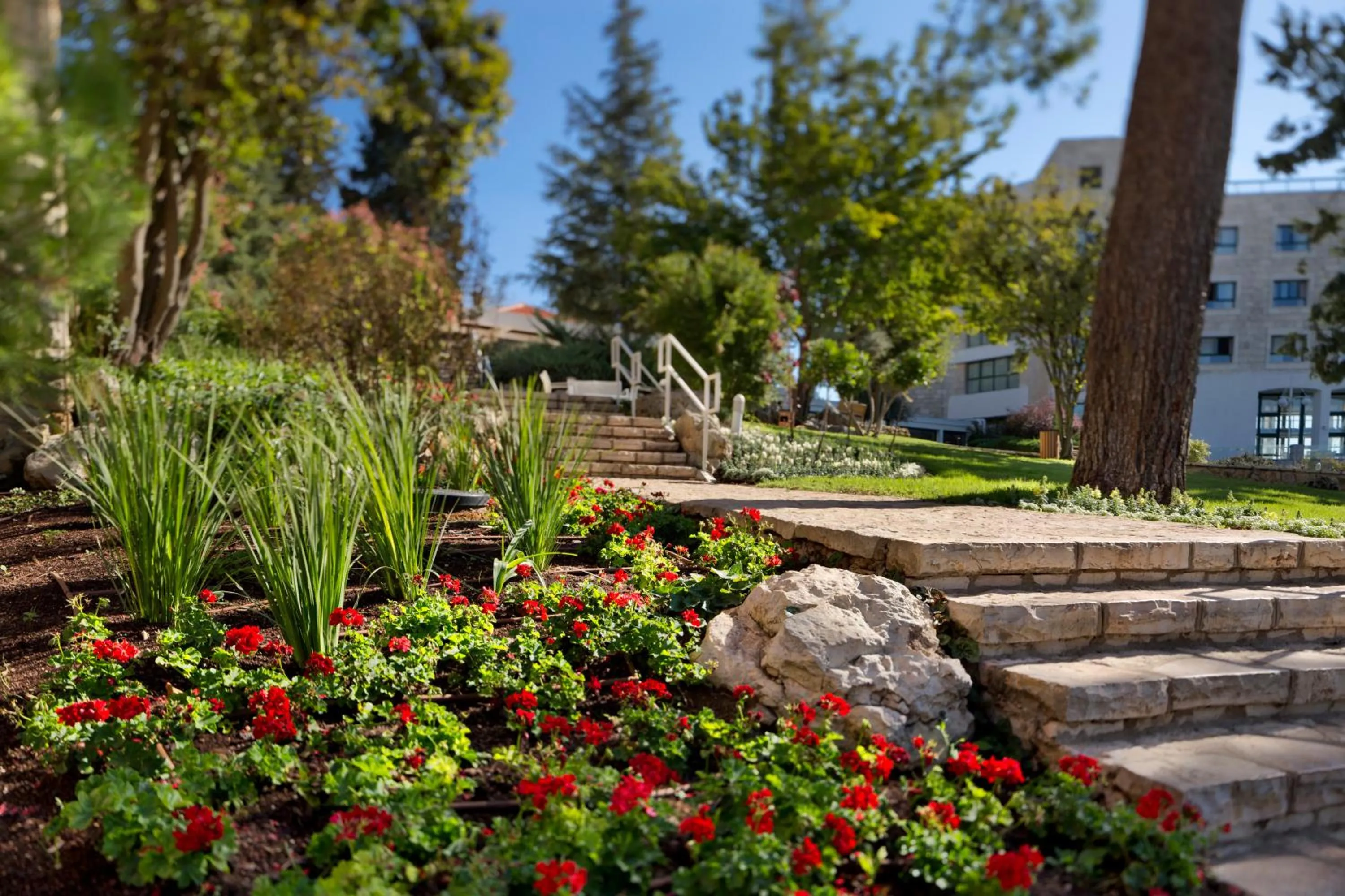 Day in Ye'arim Hotel