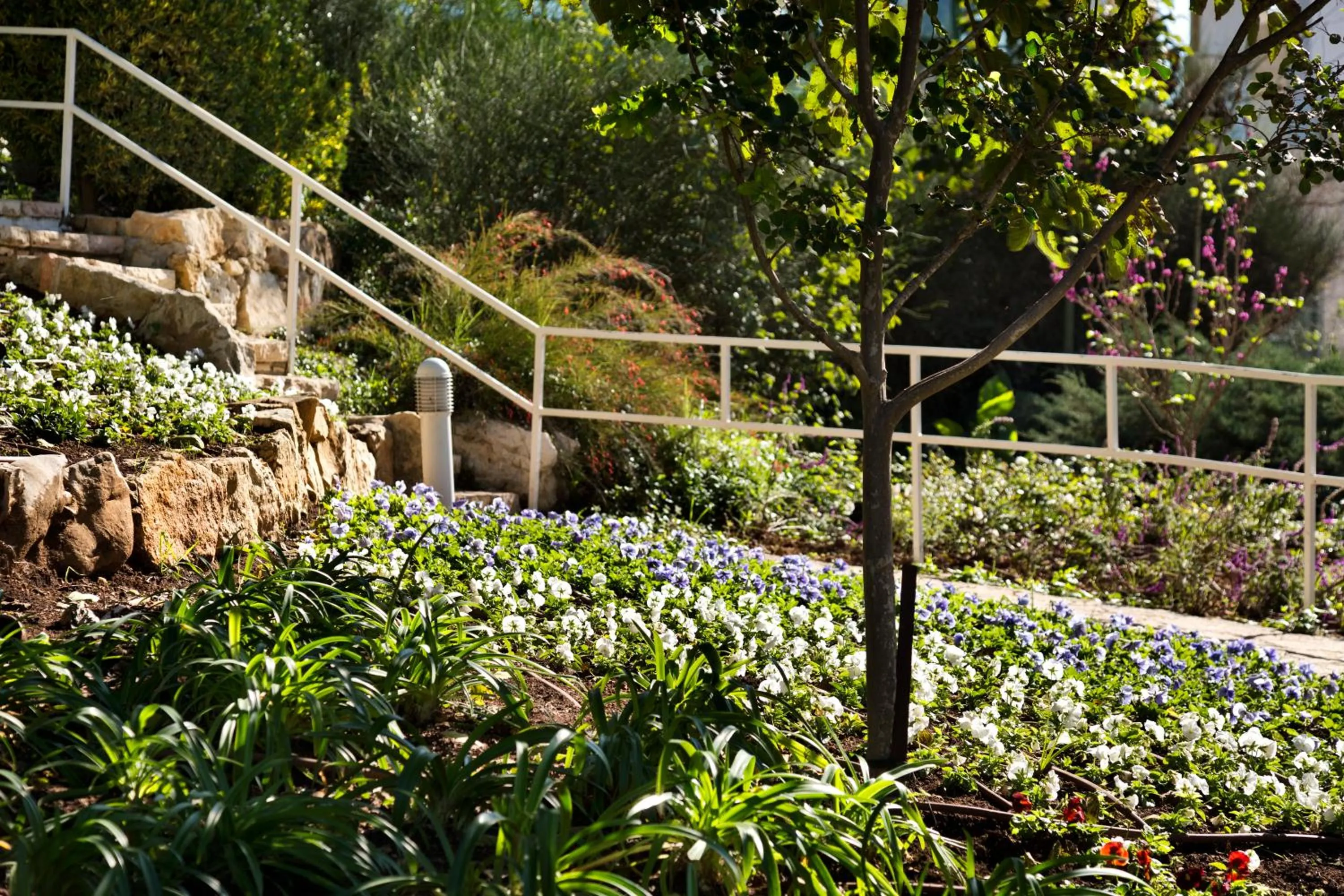 Day in Ye'arim Hotel