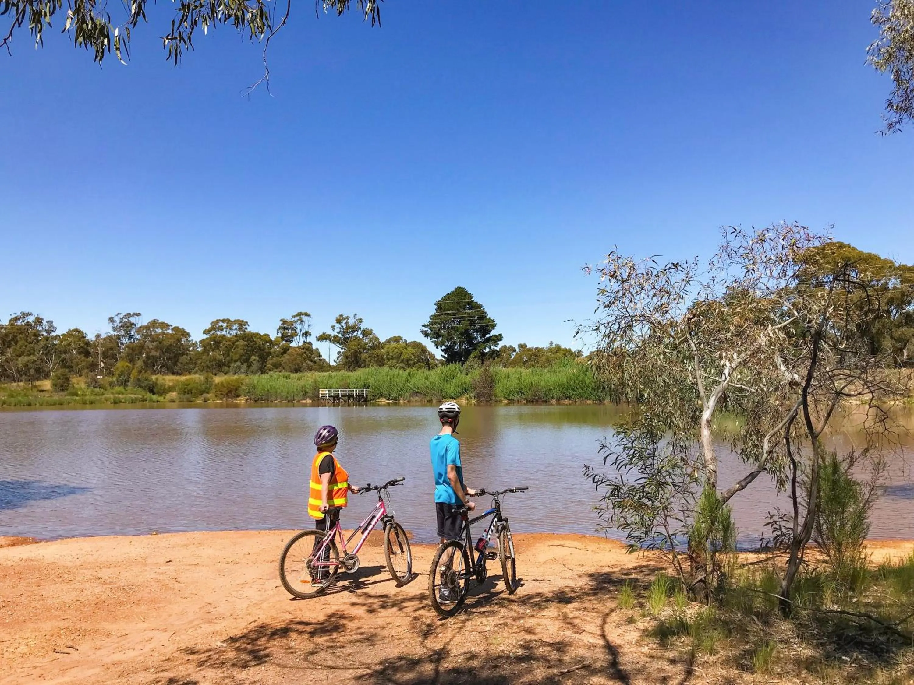 Cycling in Wedderburn Goldseeker Motel