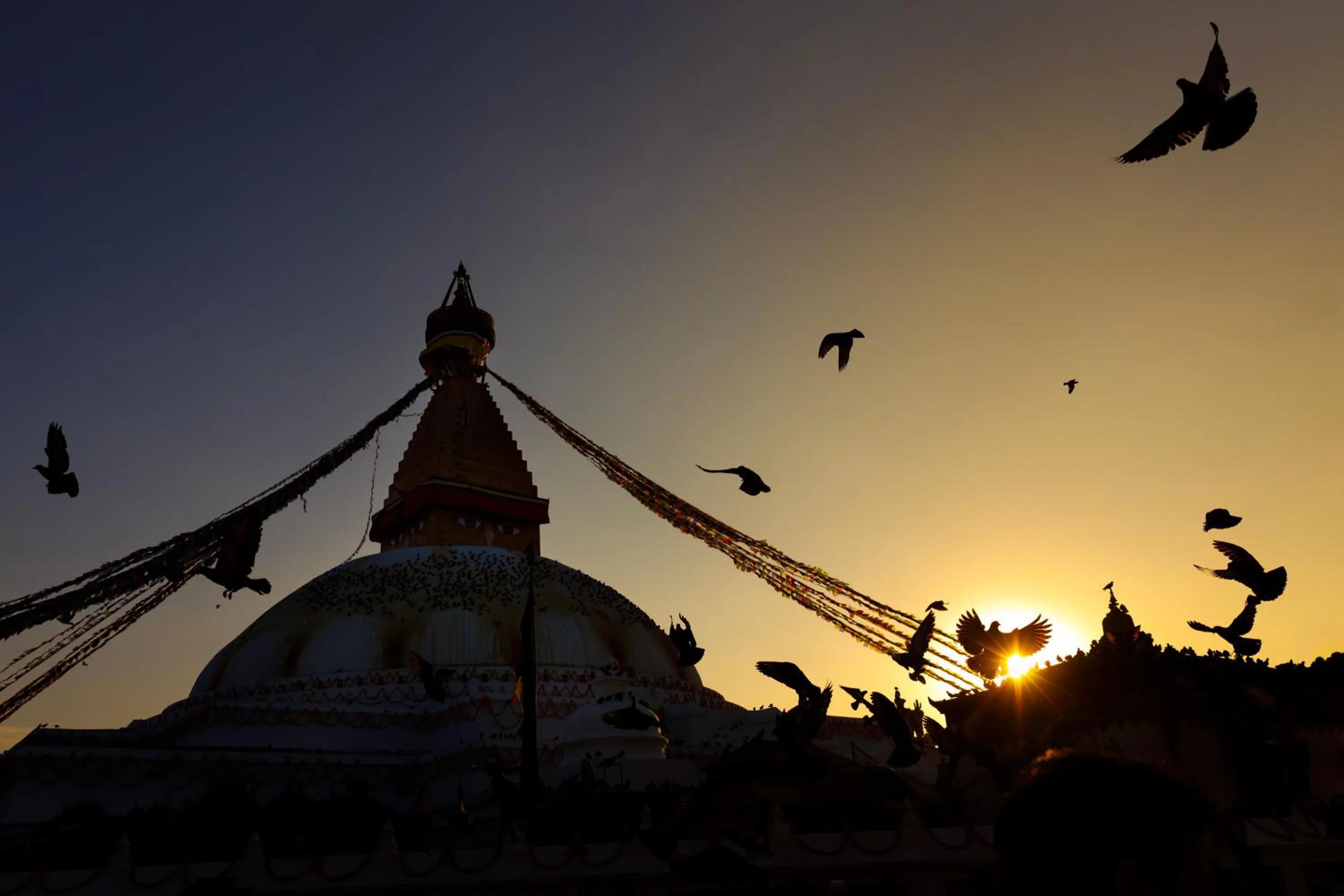 Natural landscape in Shambaling Boutique Hotel