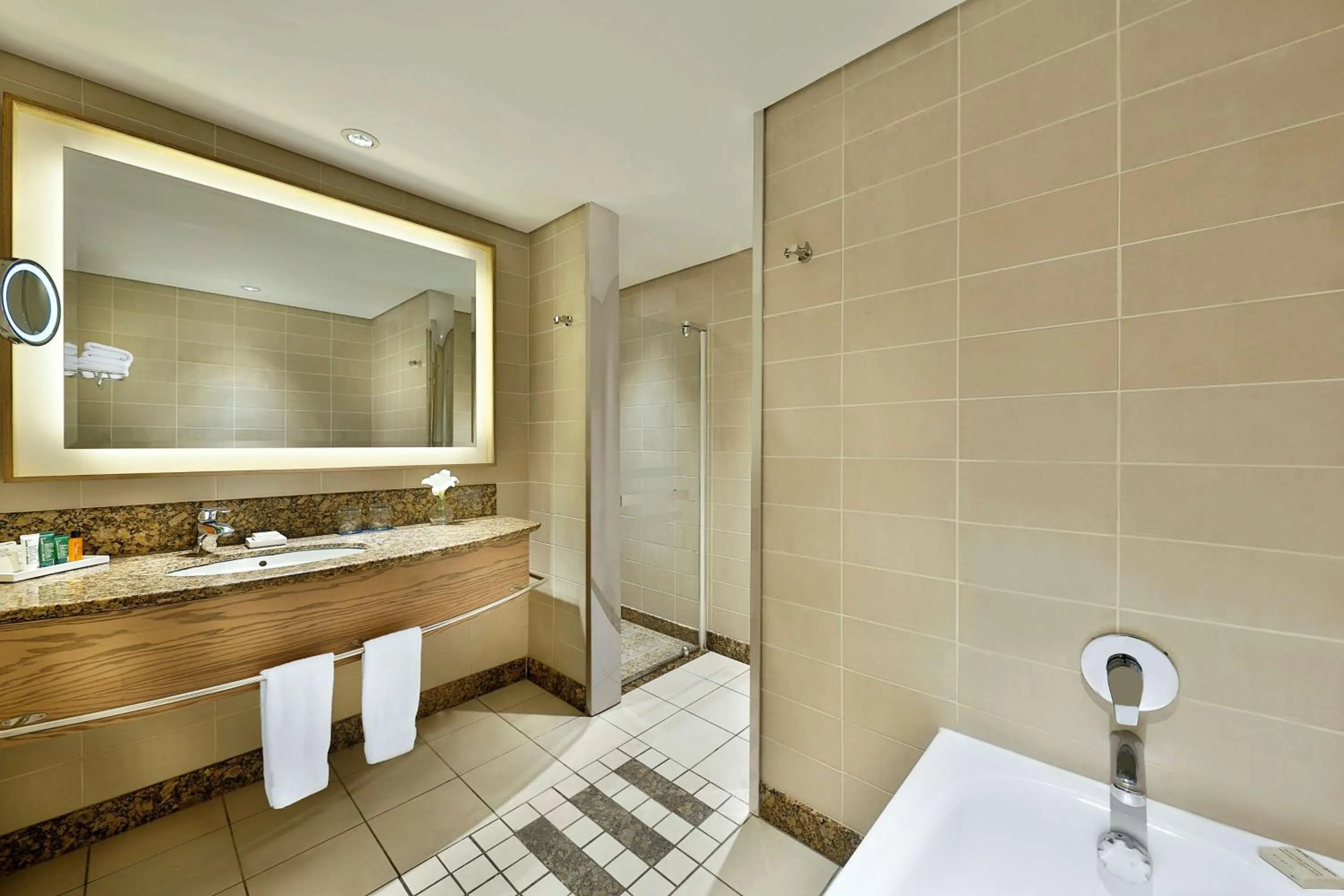 Bathroom in Hilton Durban