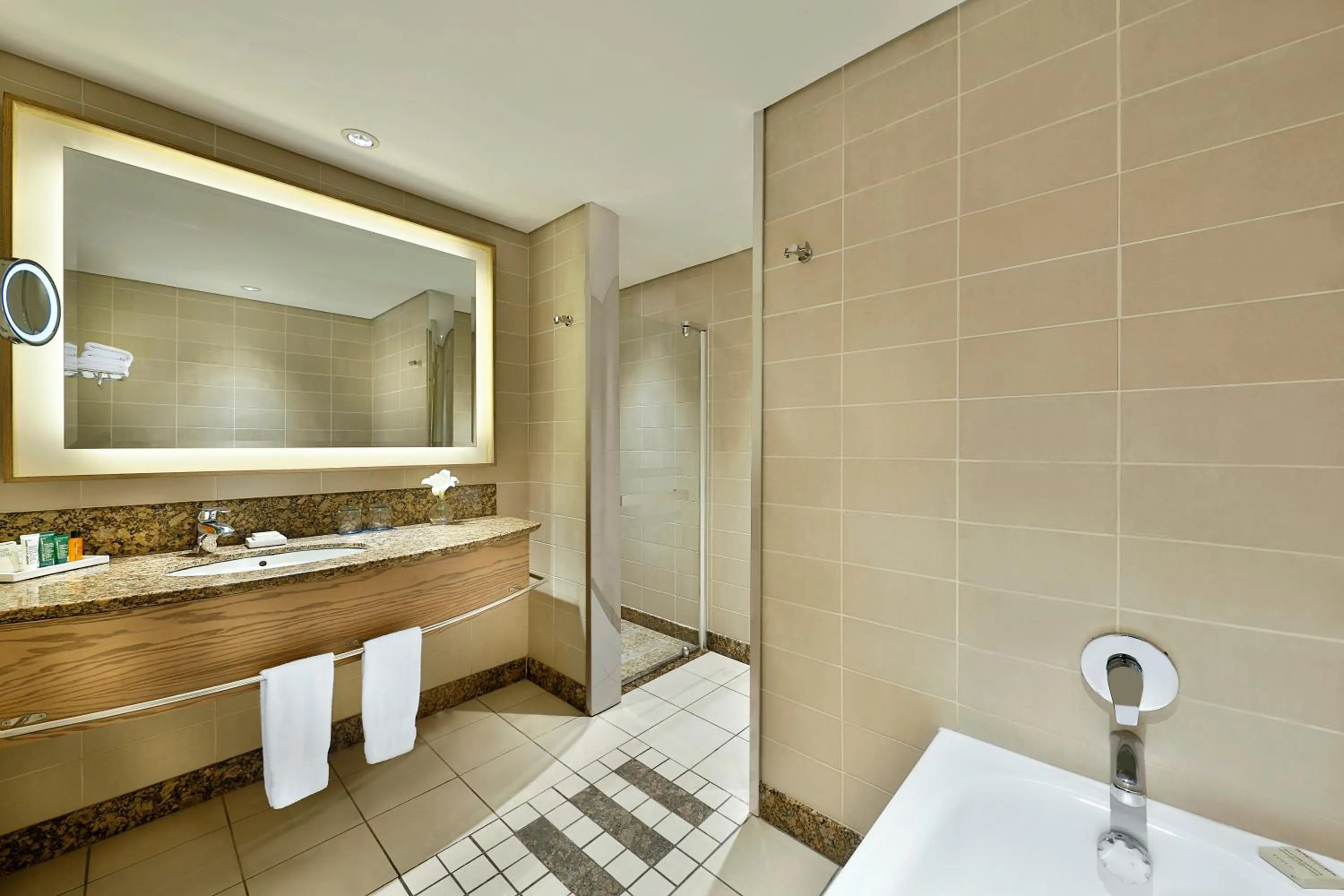 Bathroom in Hilton Durban