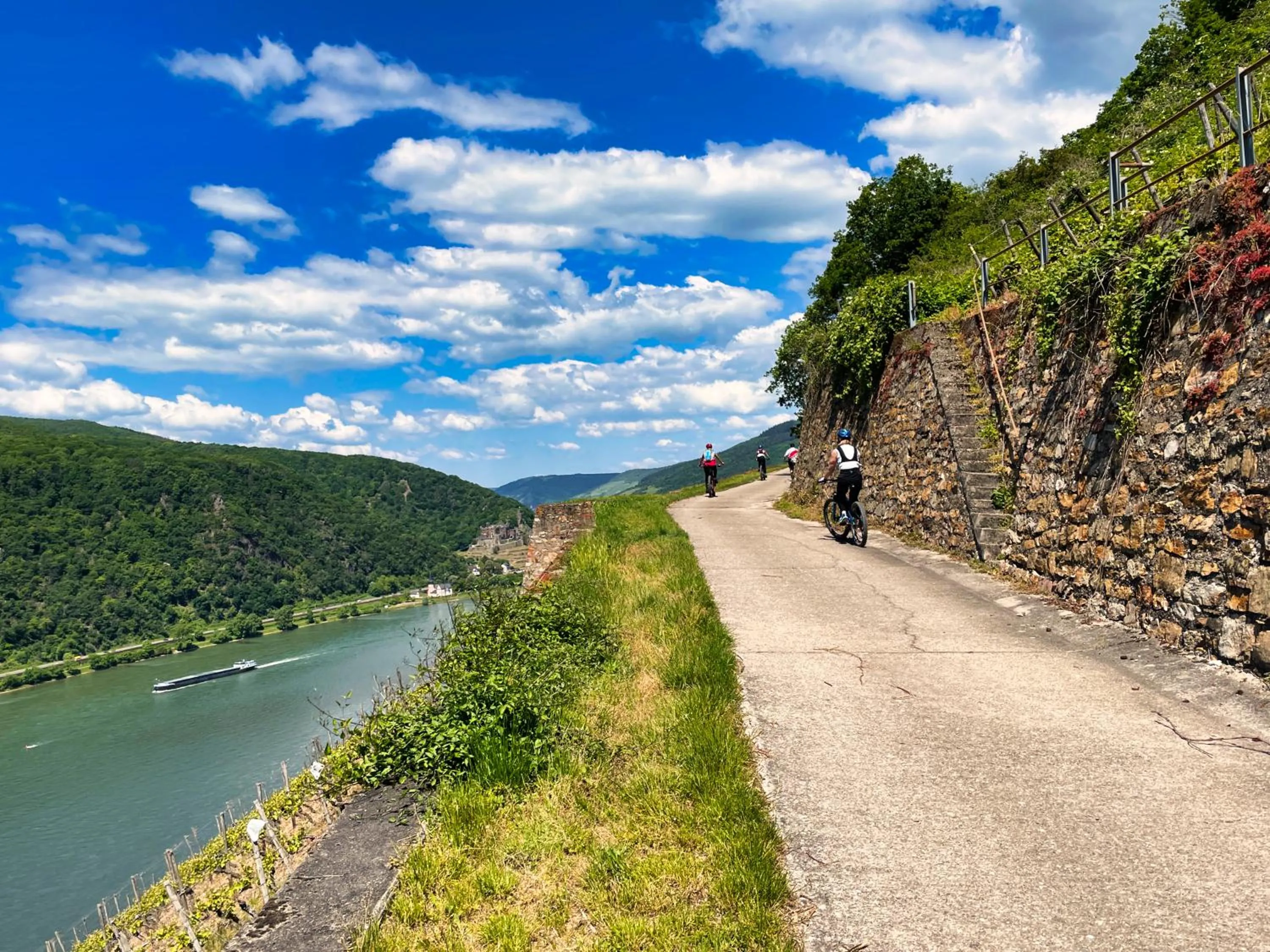Natural landscape in Gasthof Krancher