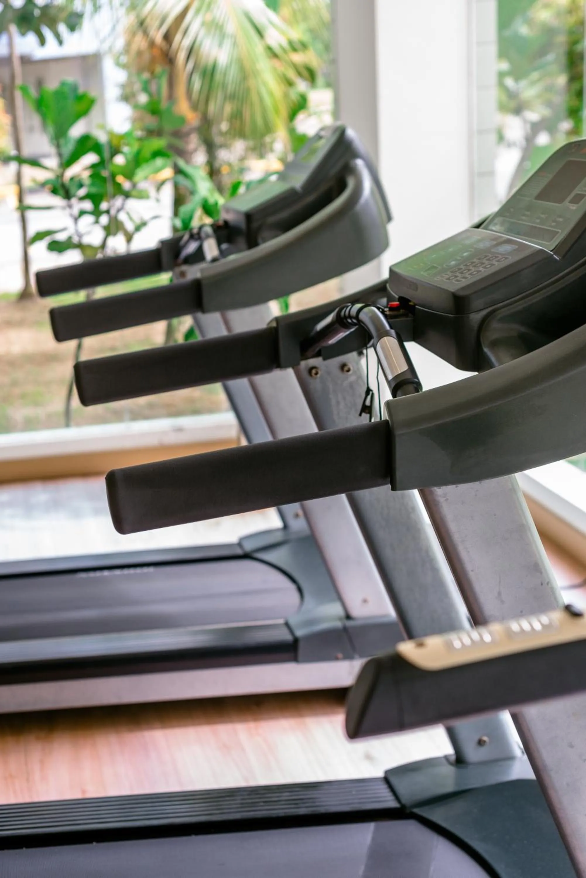 Day in Rimbun Suites & Residences