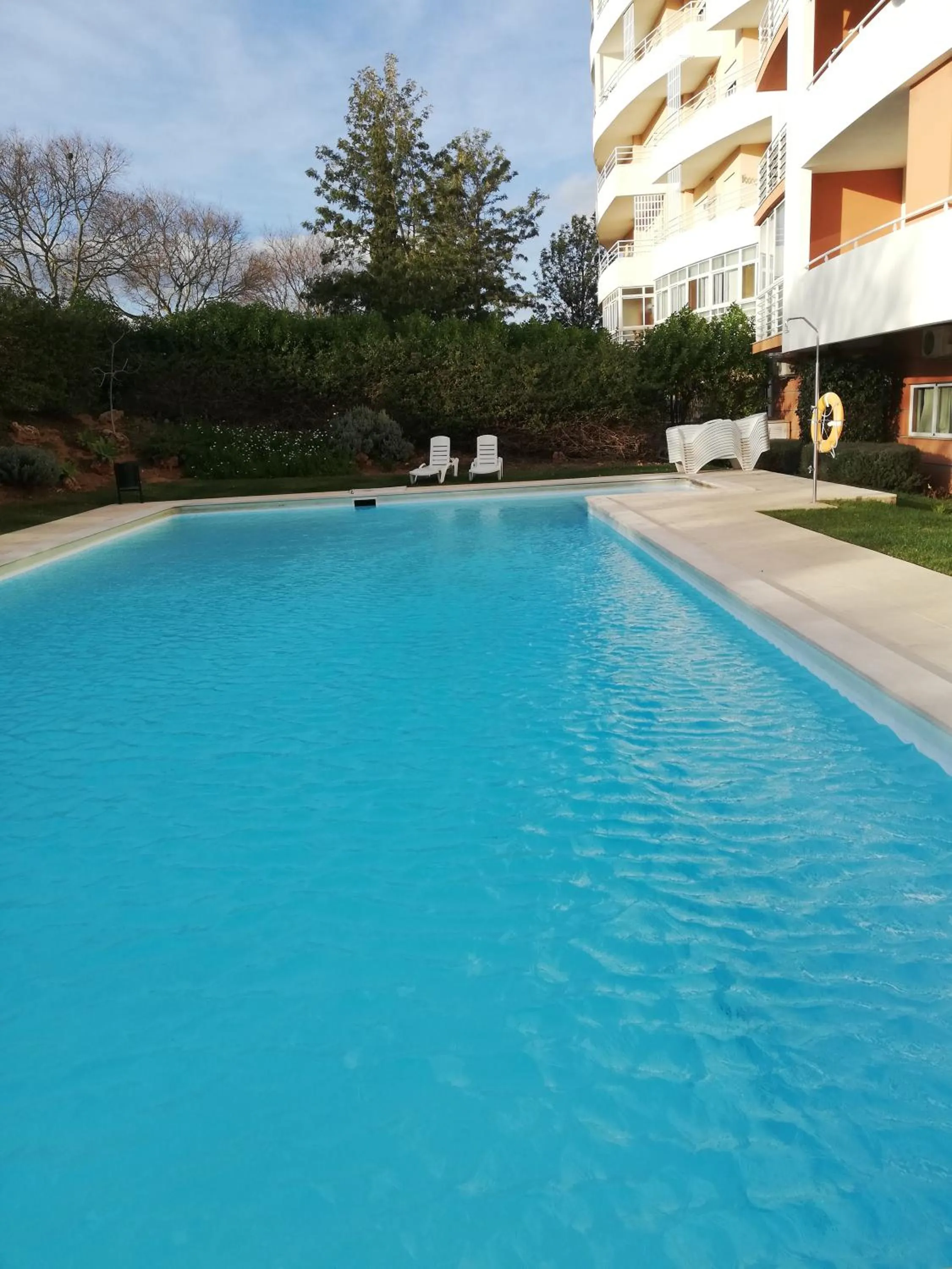 Swimming pool in Flamingo Apartment