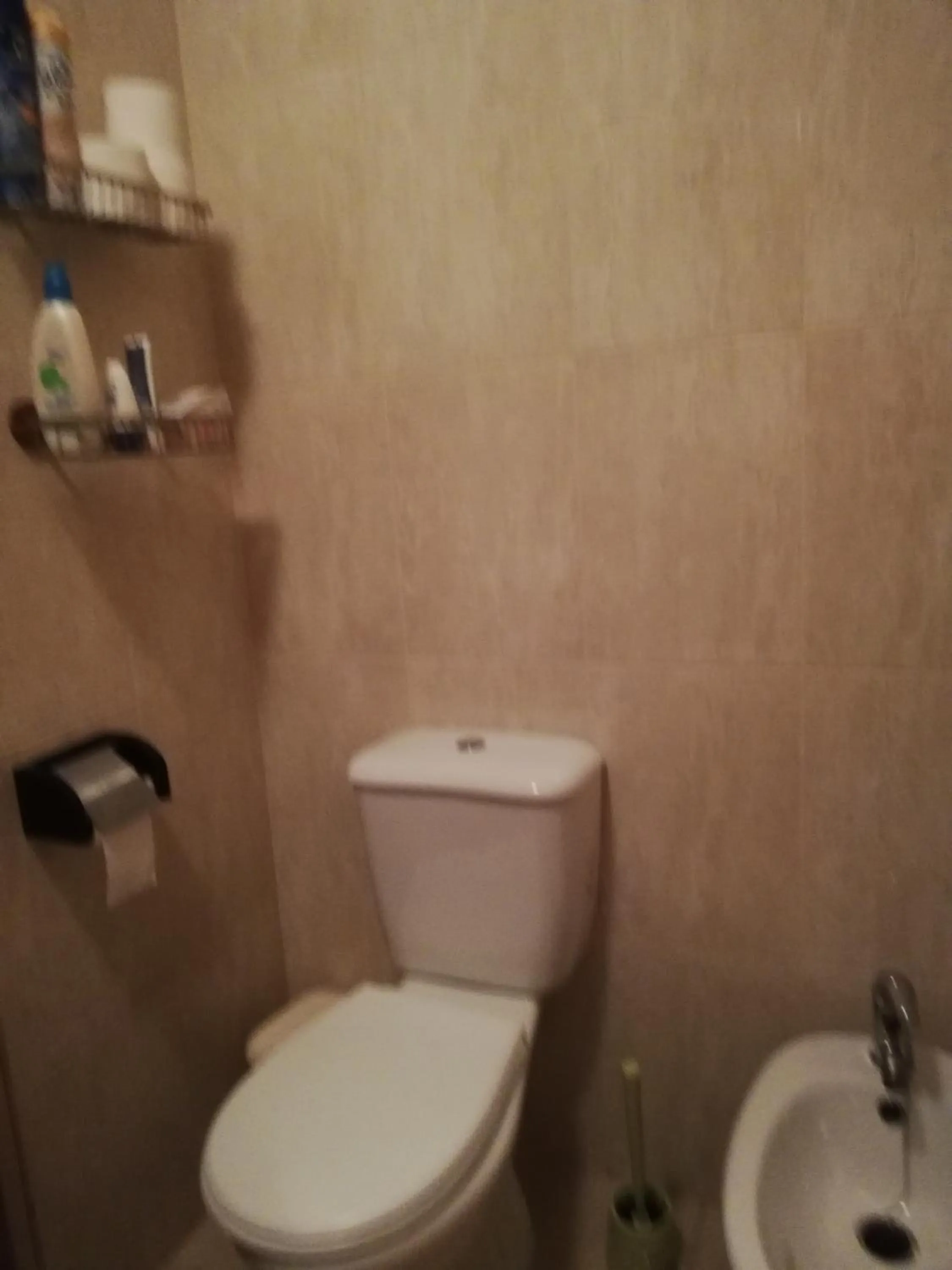 Toilet in Flamingo Apartment