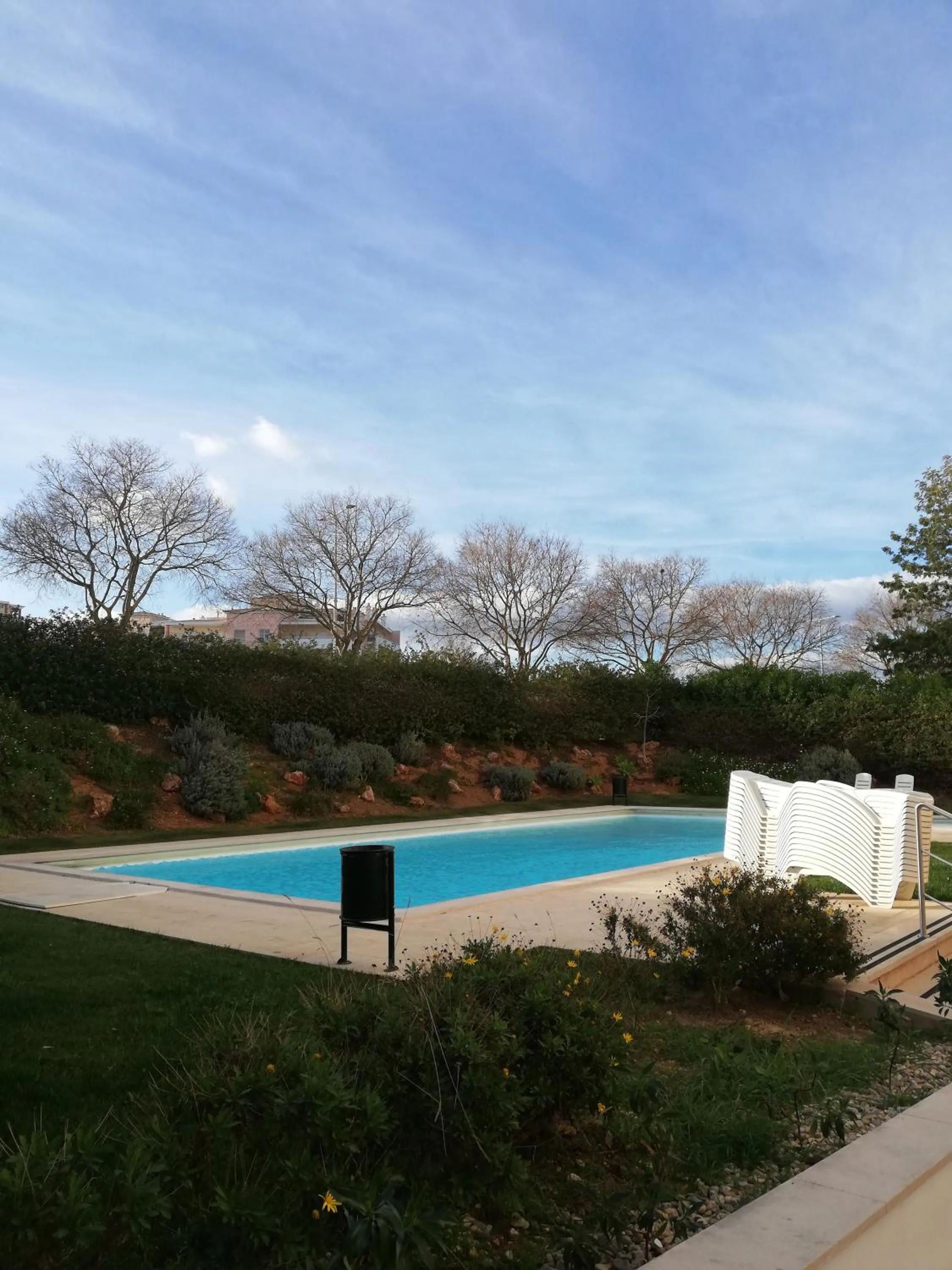 Pool view in Flamingo Apartment