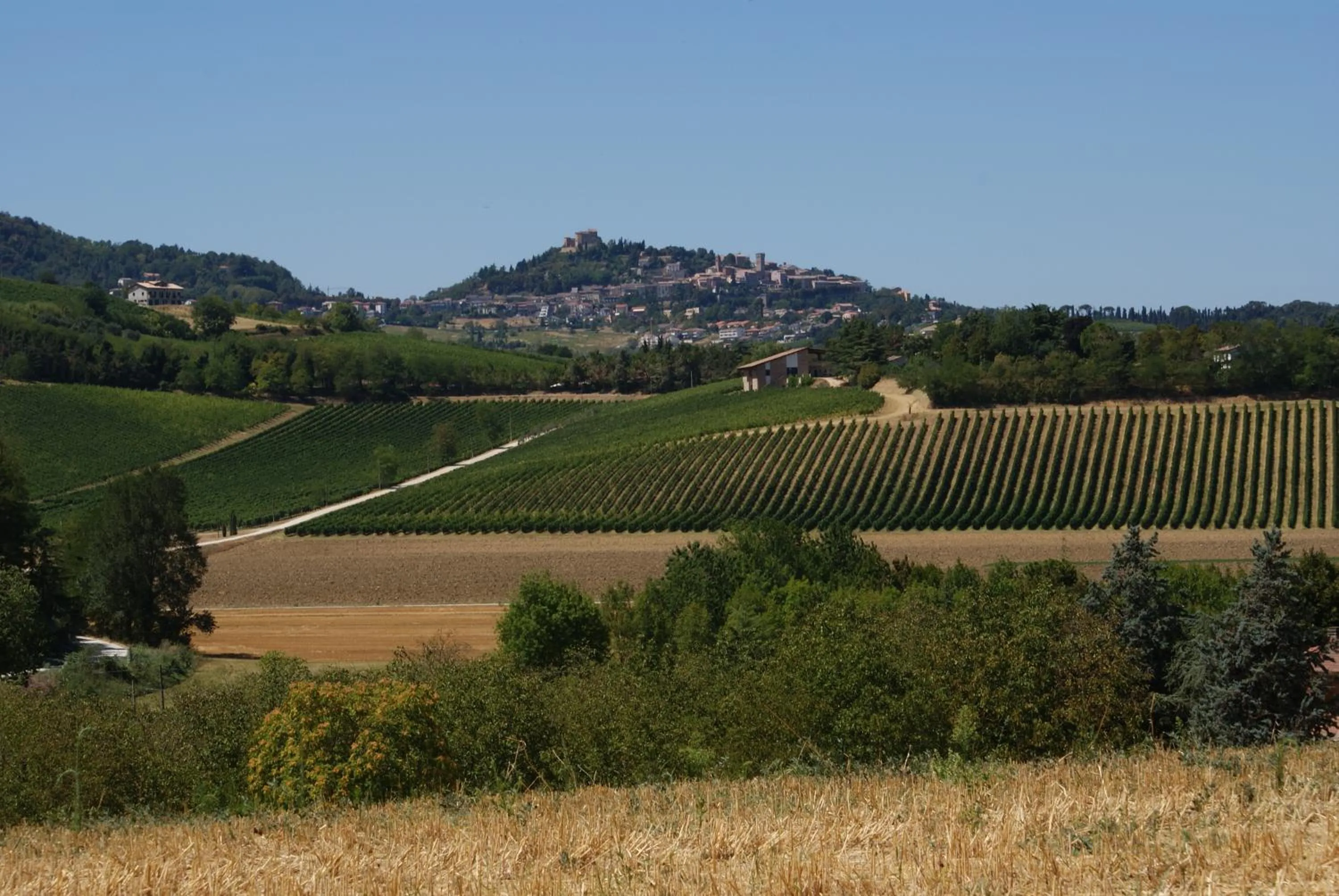 Garden in Agriturismo al Colle