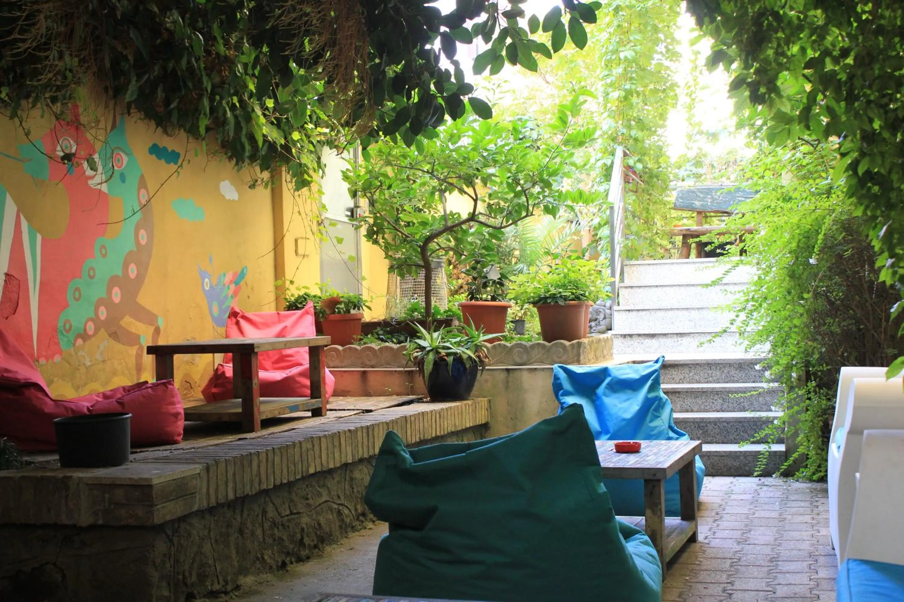 Patio in The Beehive Hostel