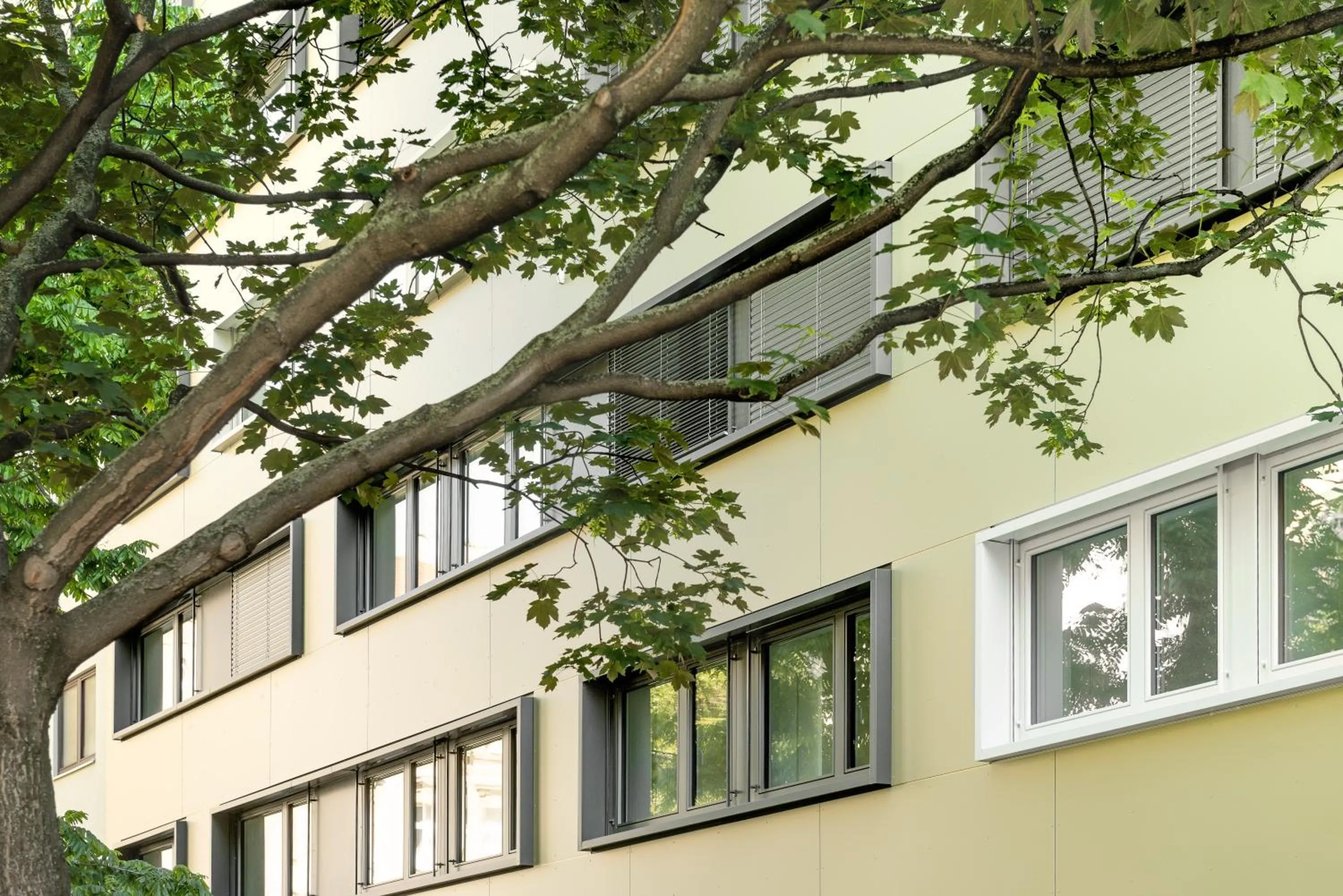 Property building in myNext - Hotel Leo