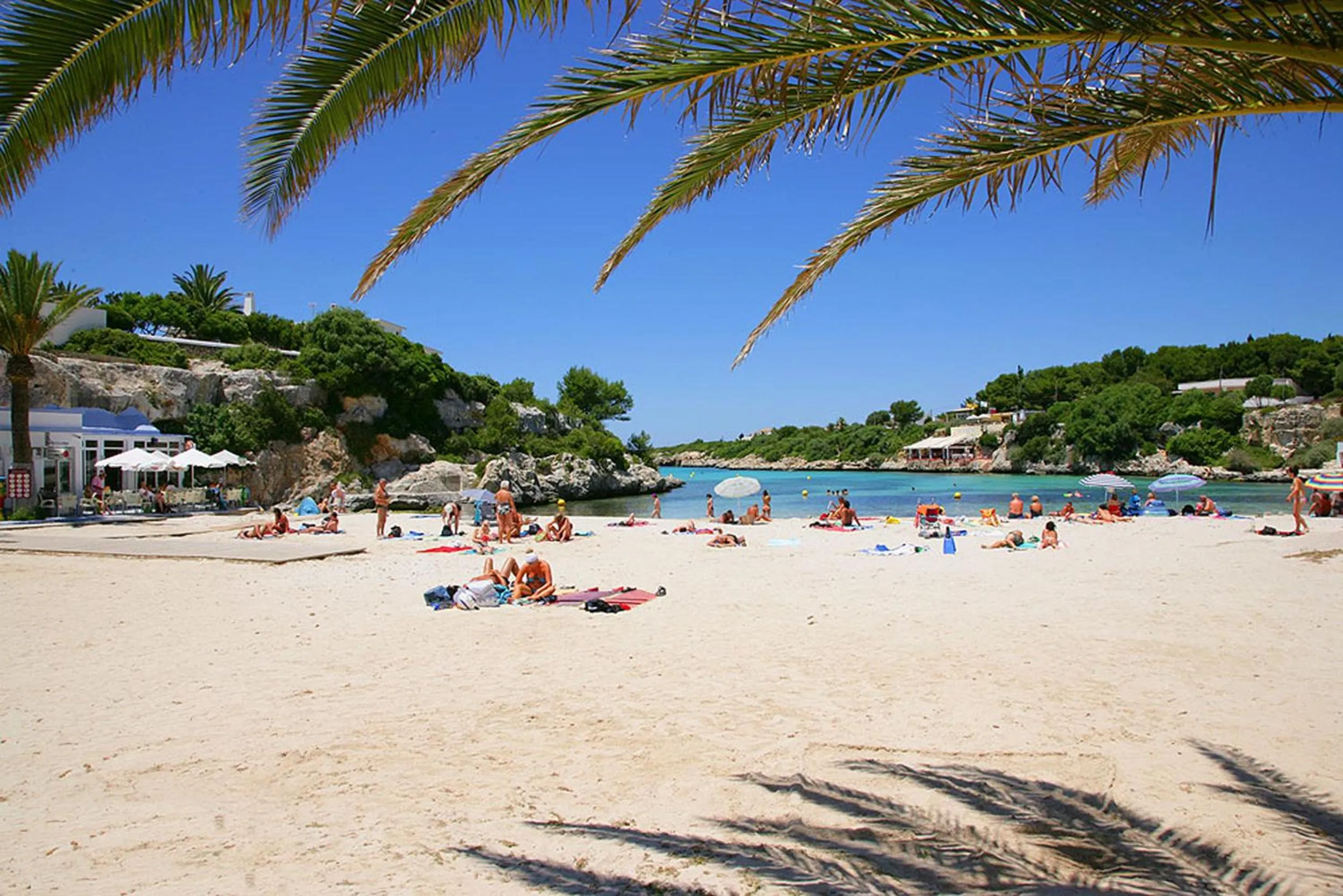 Area and facilities in Hotel Playa Santandria Adults Only