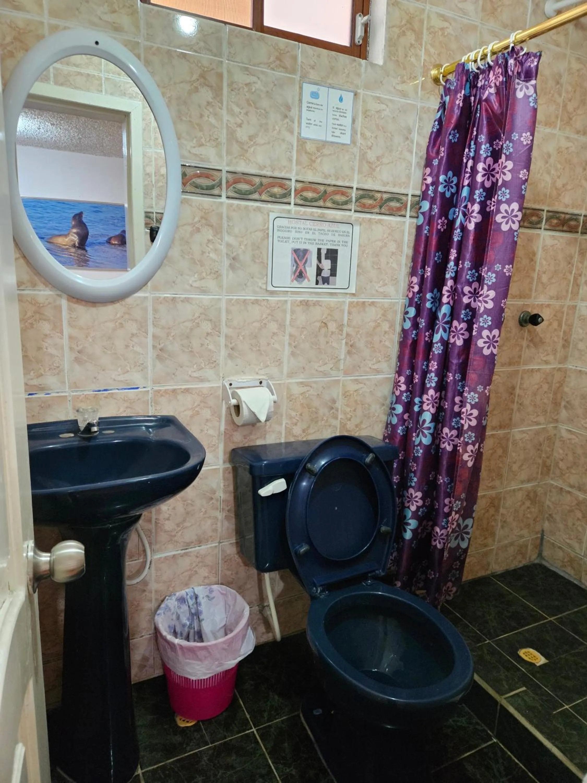 Bathroom in Hostal Cerro Azul