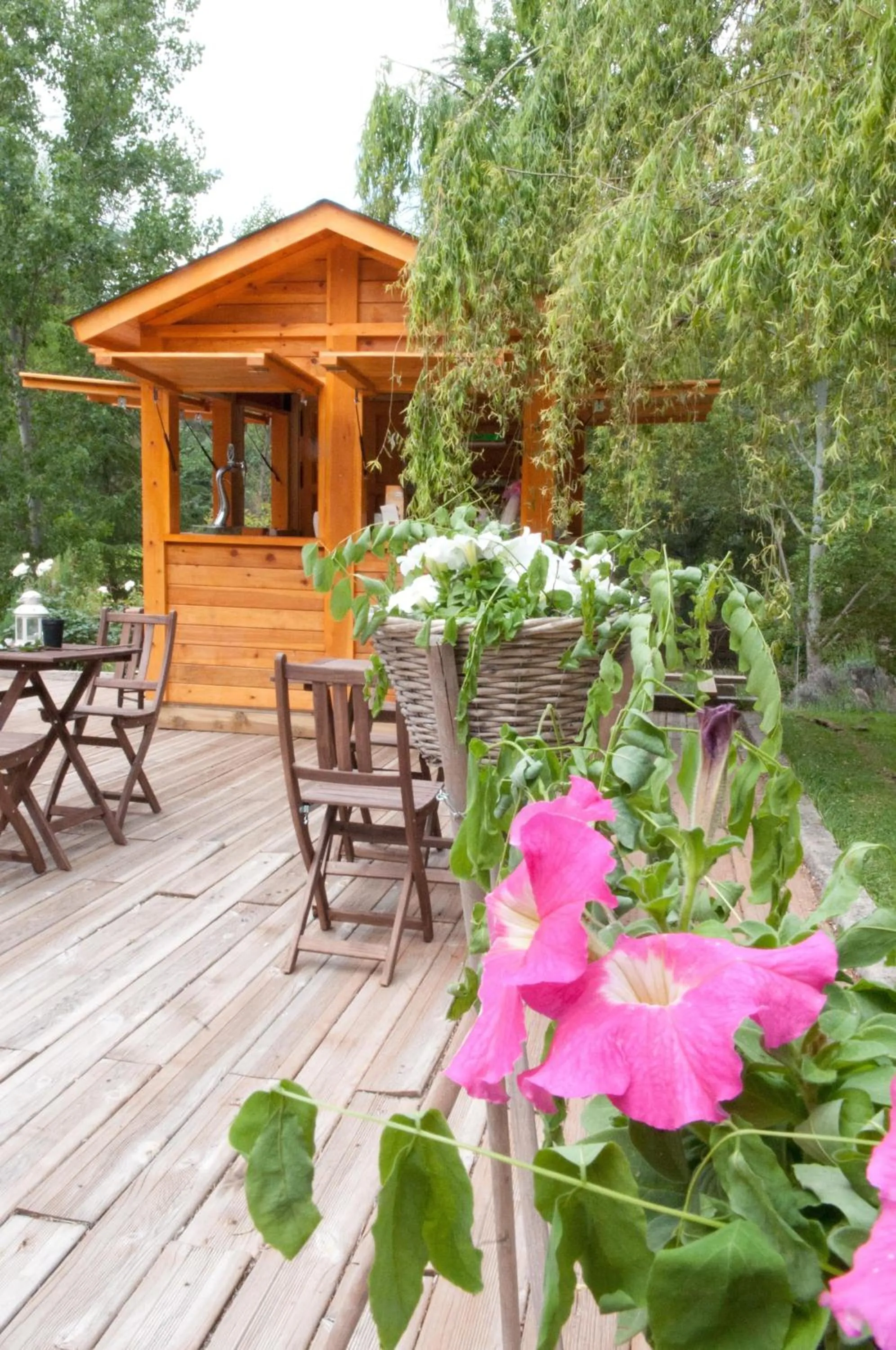 Patio in La Casita de Cabrejas