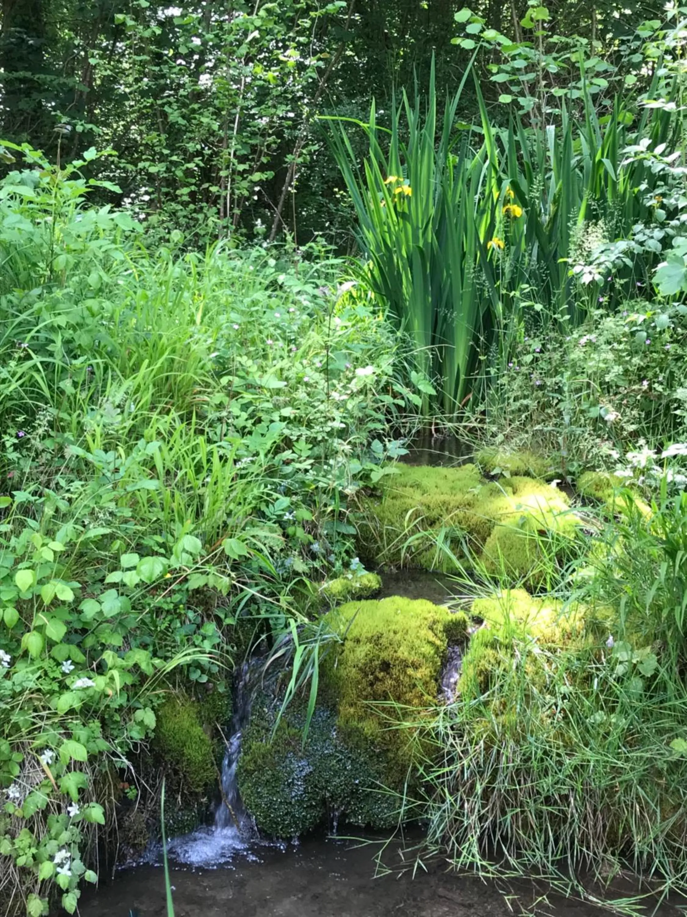 Nearby landmark in DOMAINE ST GERMER