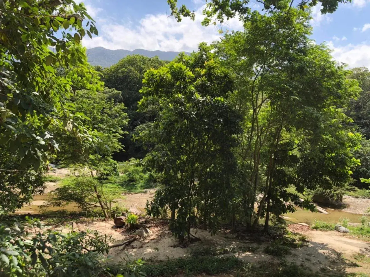 Suite with Balcony in Eco Hostal Kuima Suite with Balcony in Eco Hostal Kuima