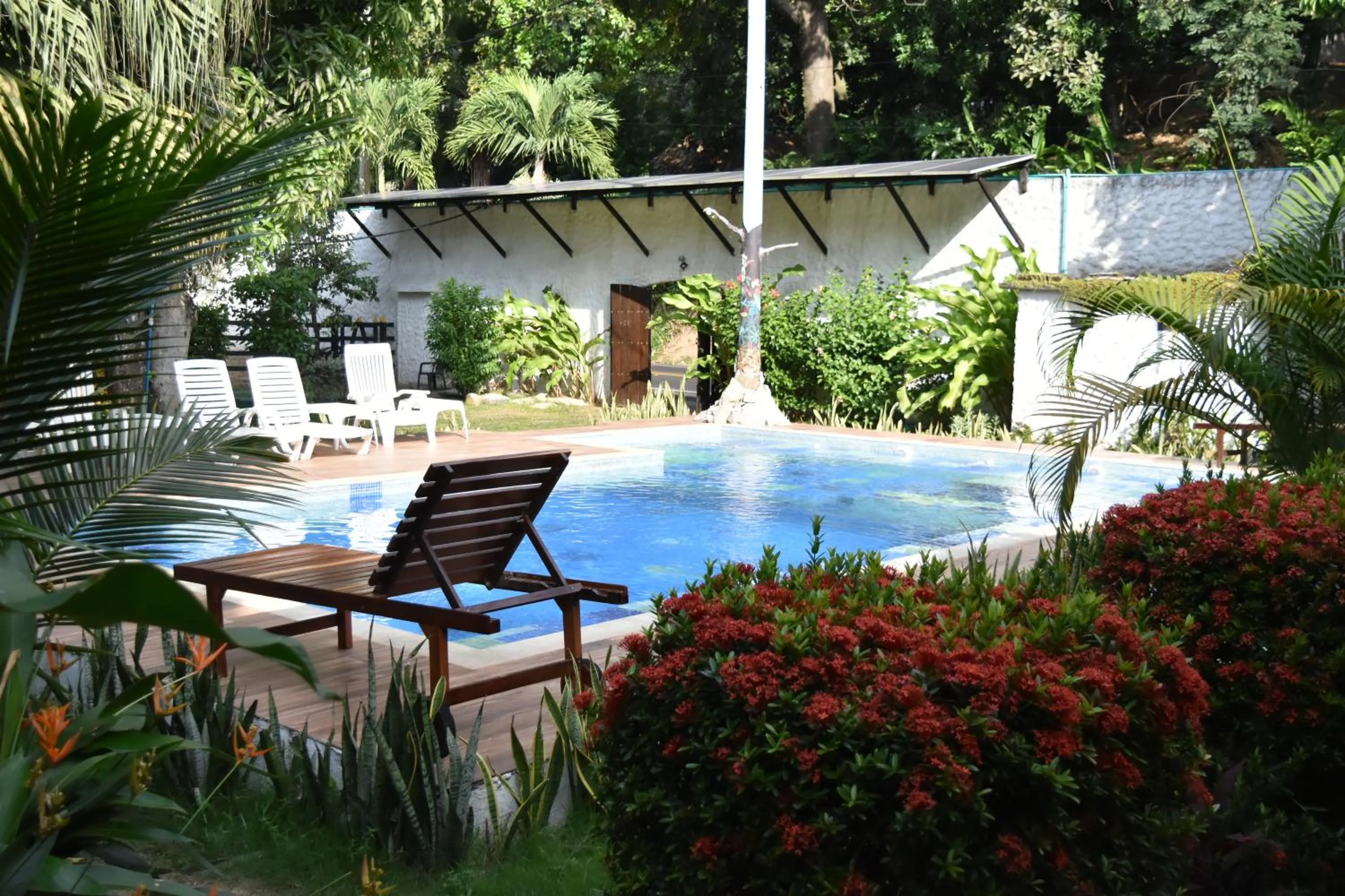 Pool view in Eco Hostal Kuima