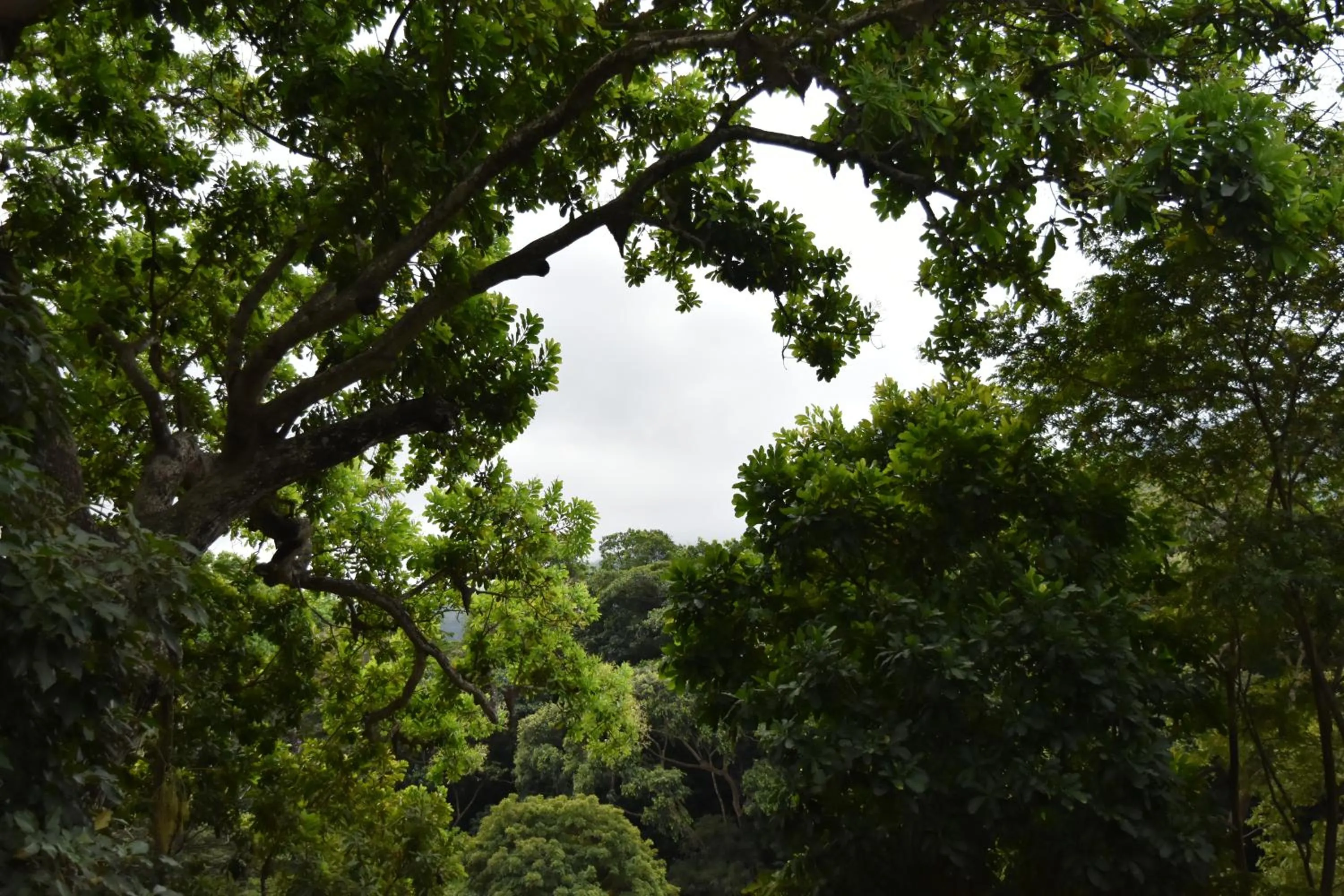 Natural landscape in Eco Hostal Kuima