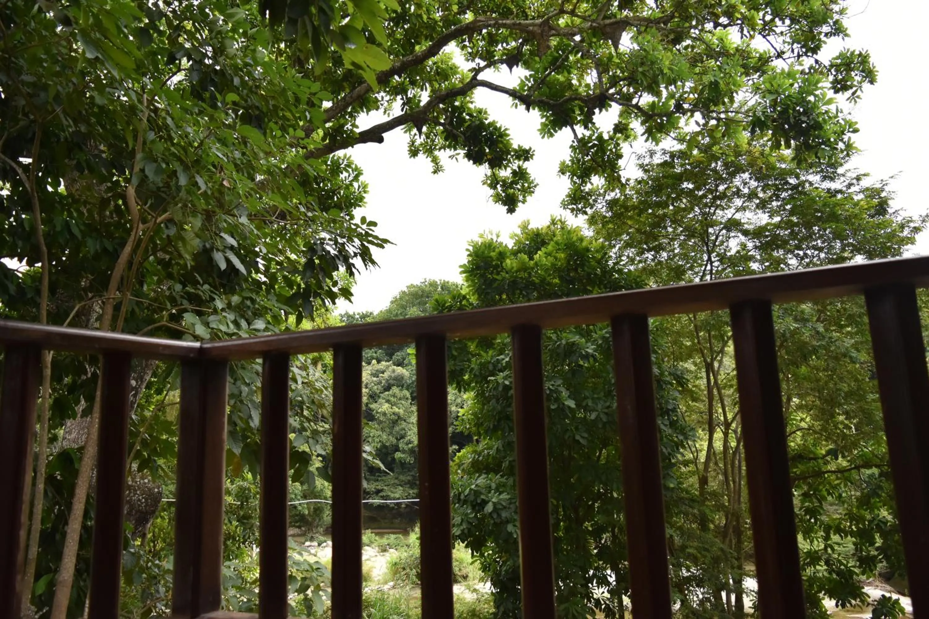 Balcony/Terrace in Eco Hostal Kuima