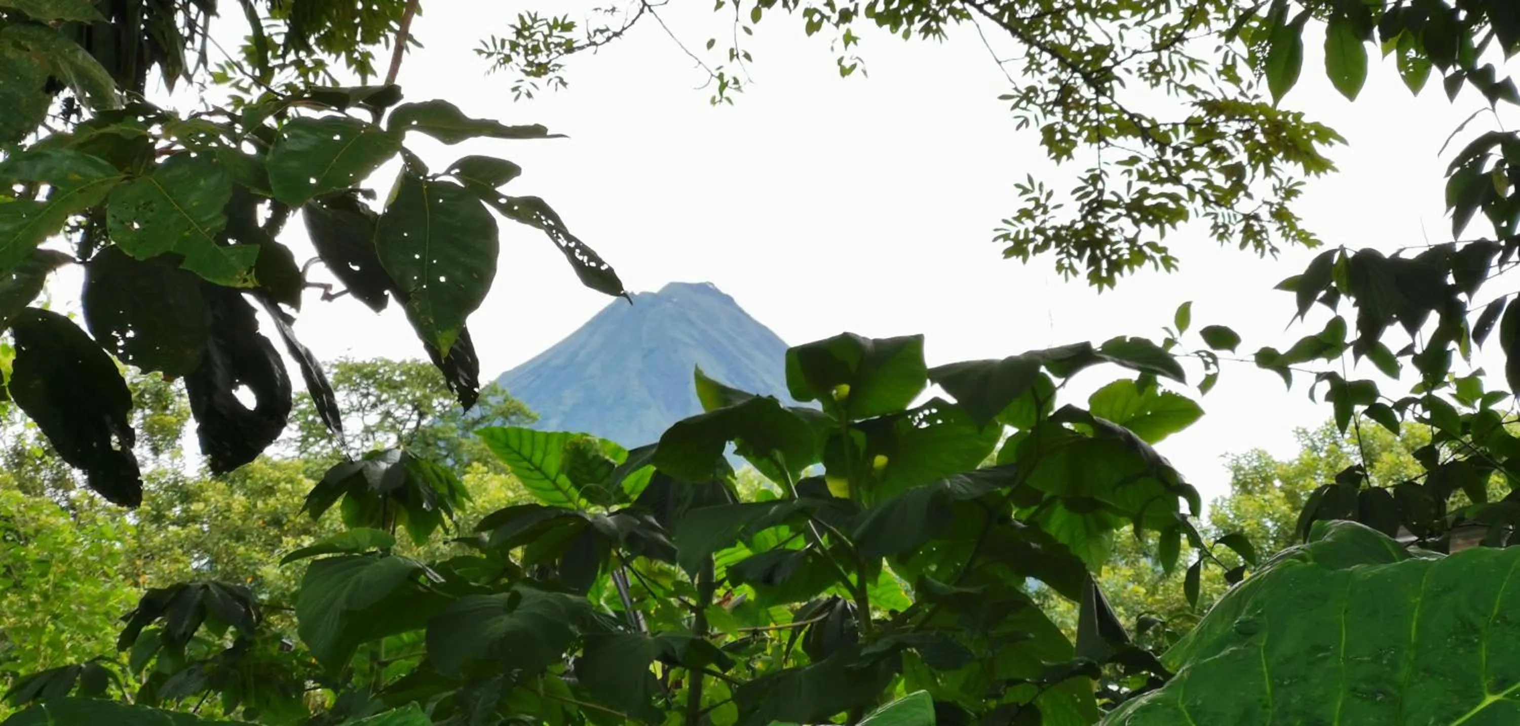 Patio in Hotel Campestre Arenal