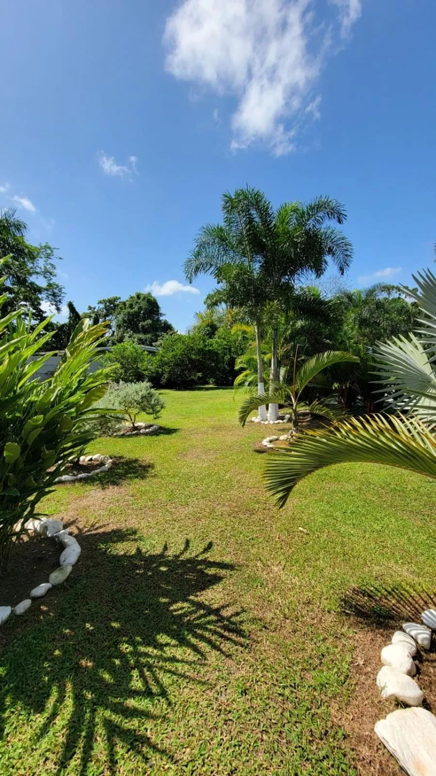 Hotel Campestre Arenal