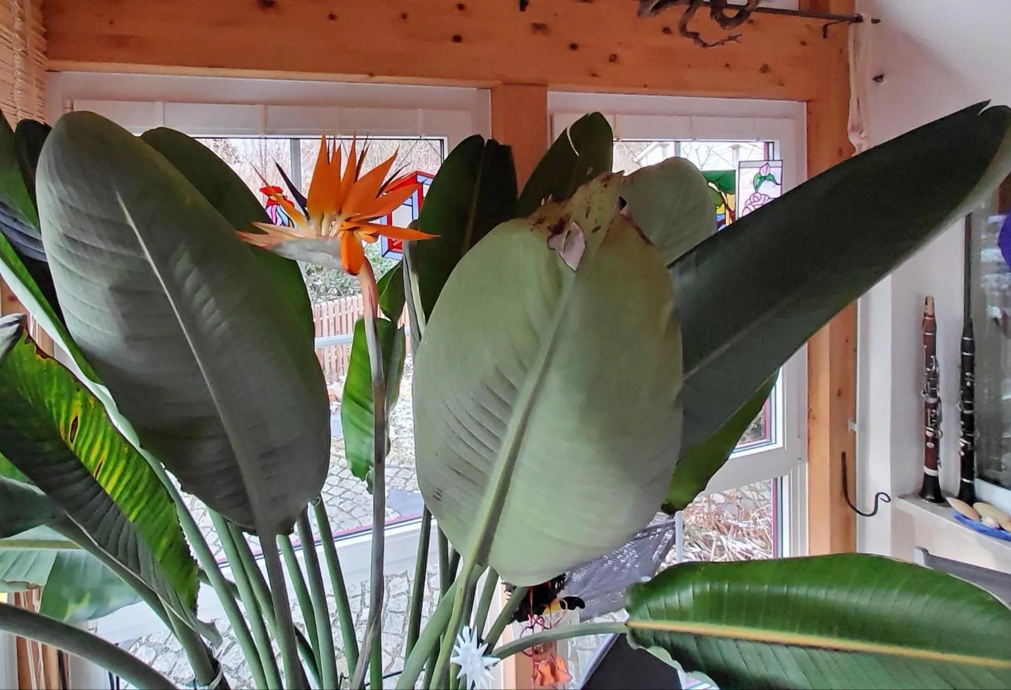 B & B Gästehaus Schmidt