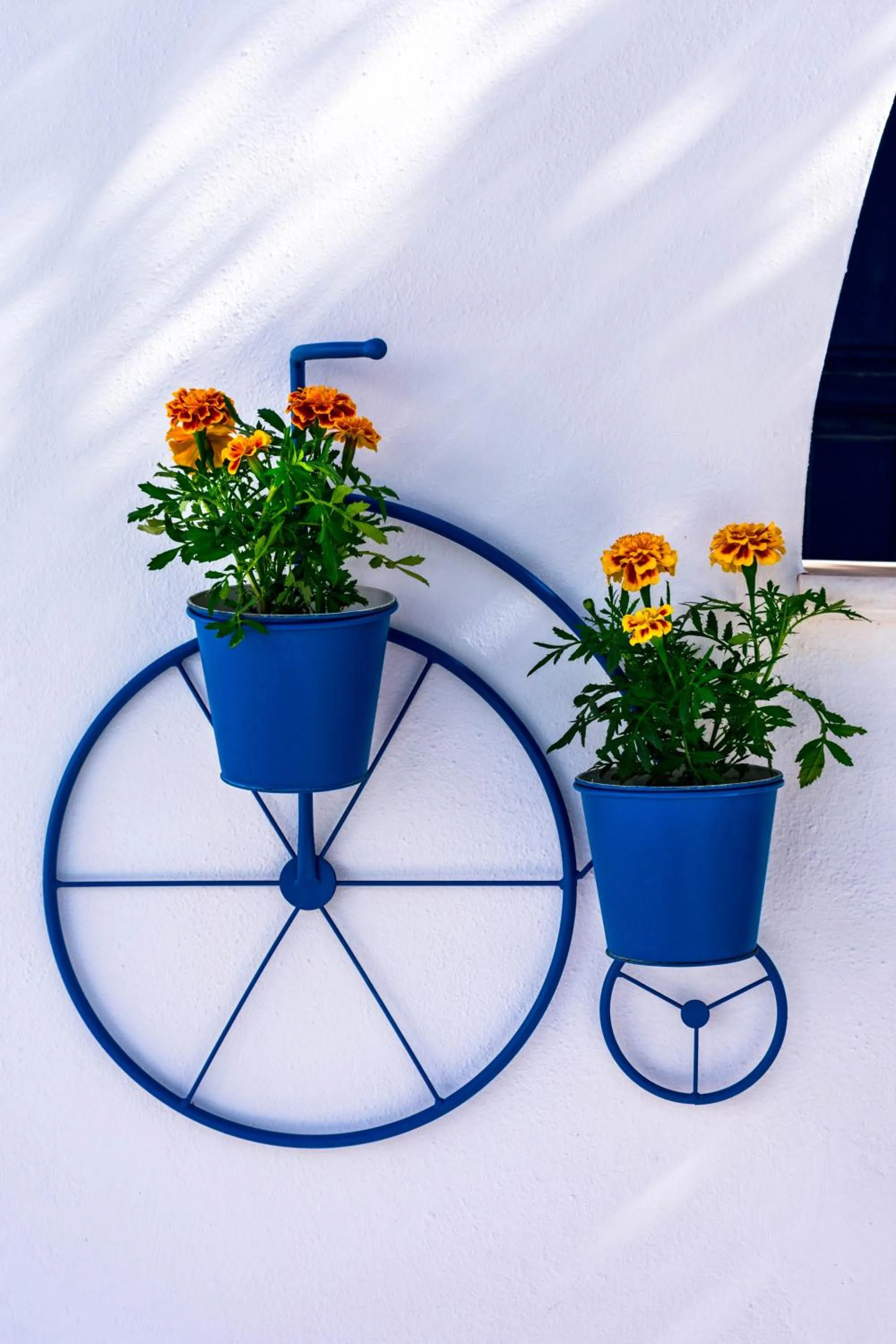 Garden in Dedalos Studios Naxos