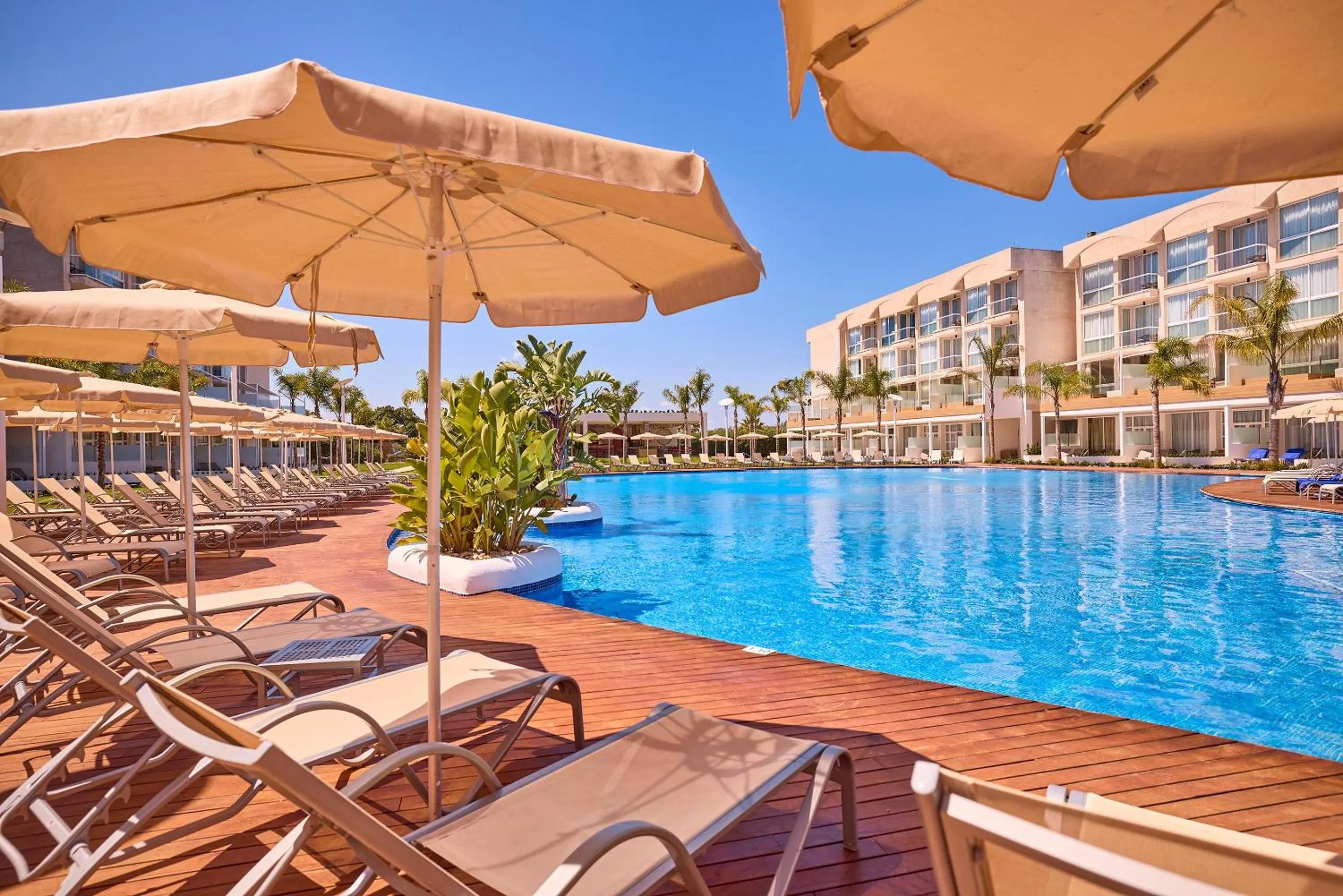 Swimming pool in Zafiro Alzinar Mar Adults Only - Refurbished 2025