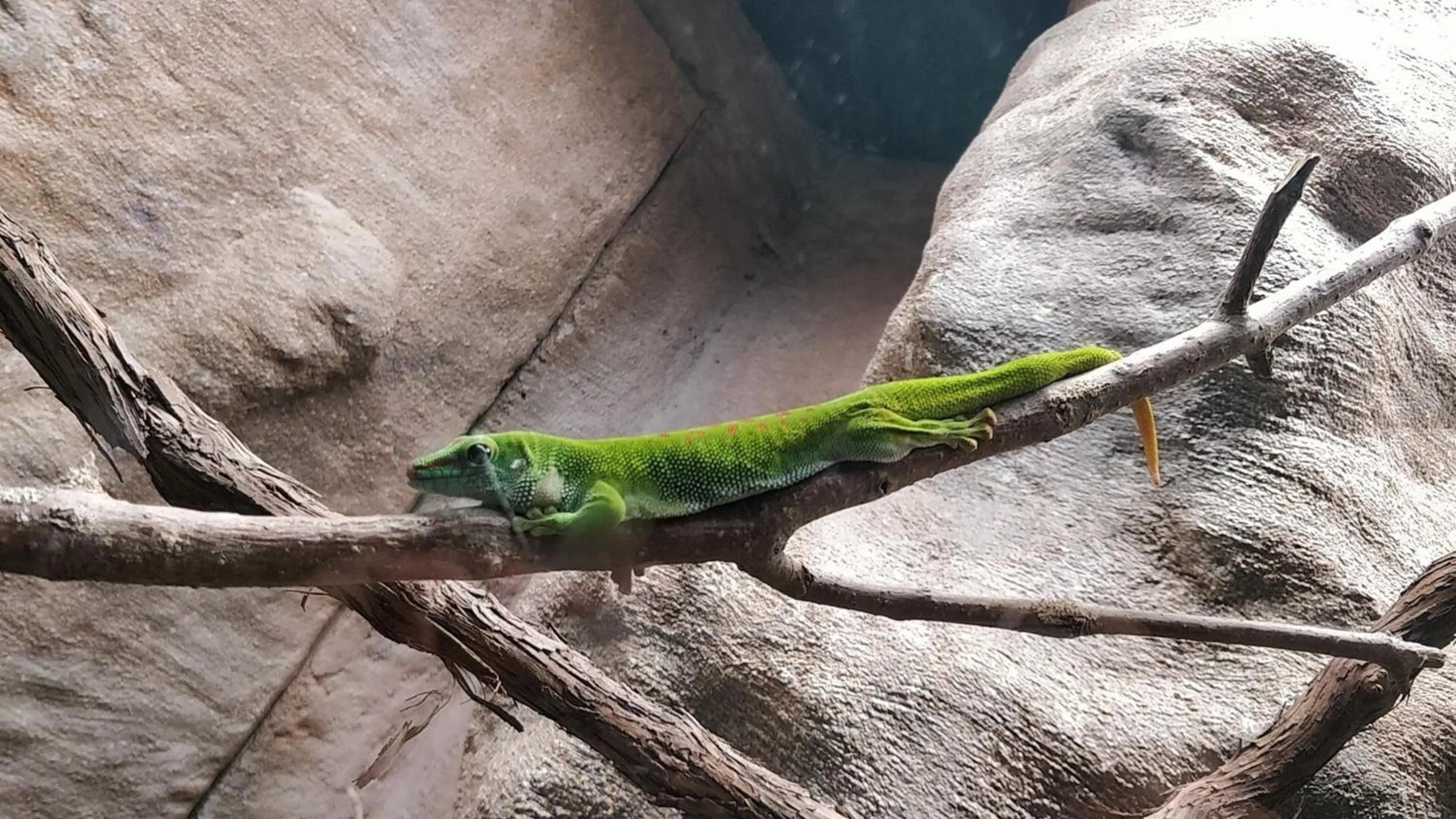 Nearby landmark in Holiday Inn Hotel & Suites London by IHG