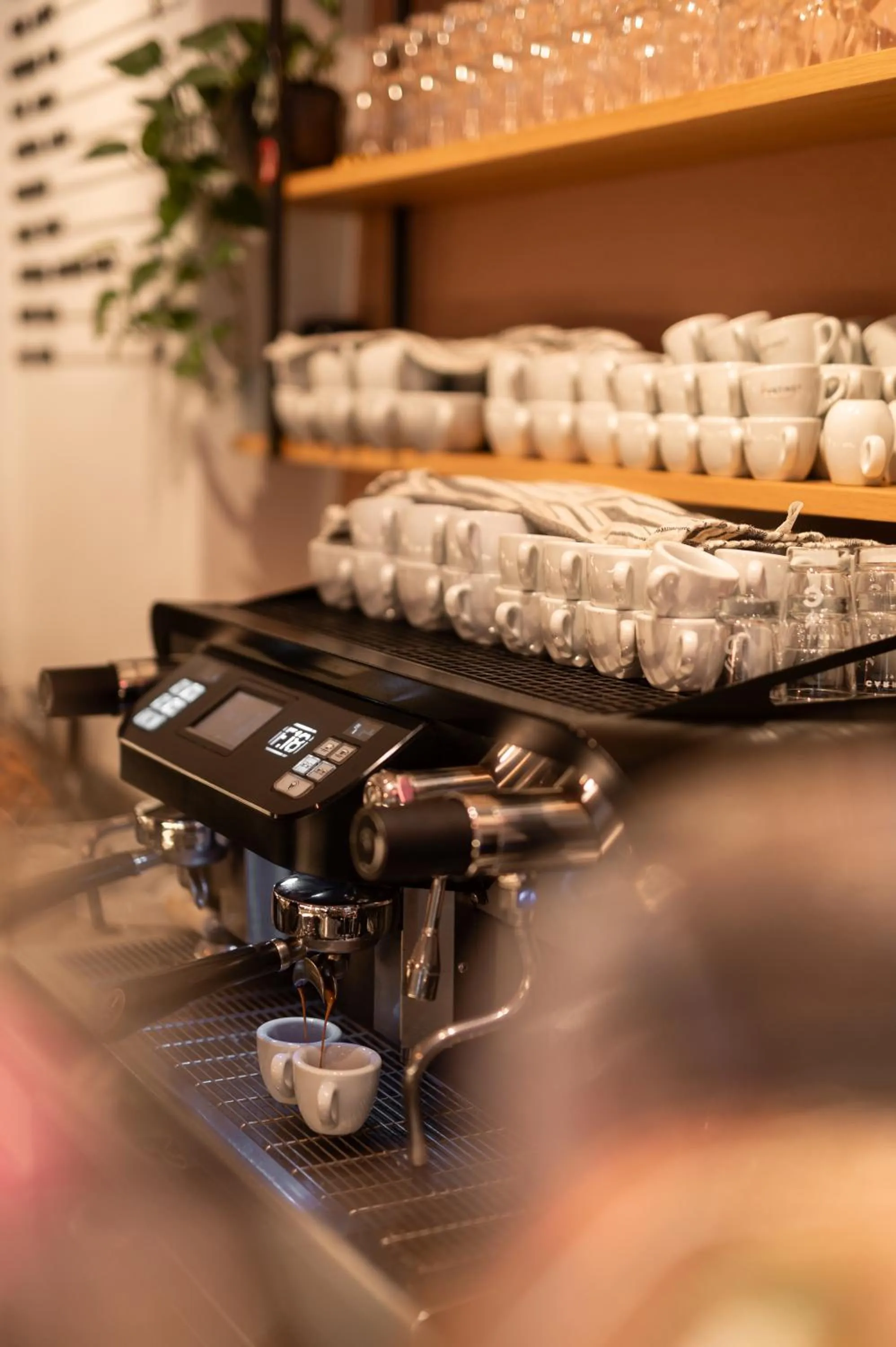 Lounge or bar in Kuntino Suites