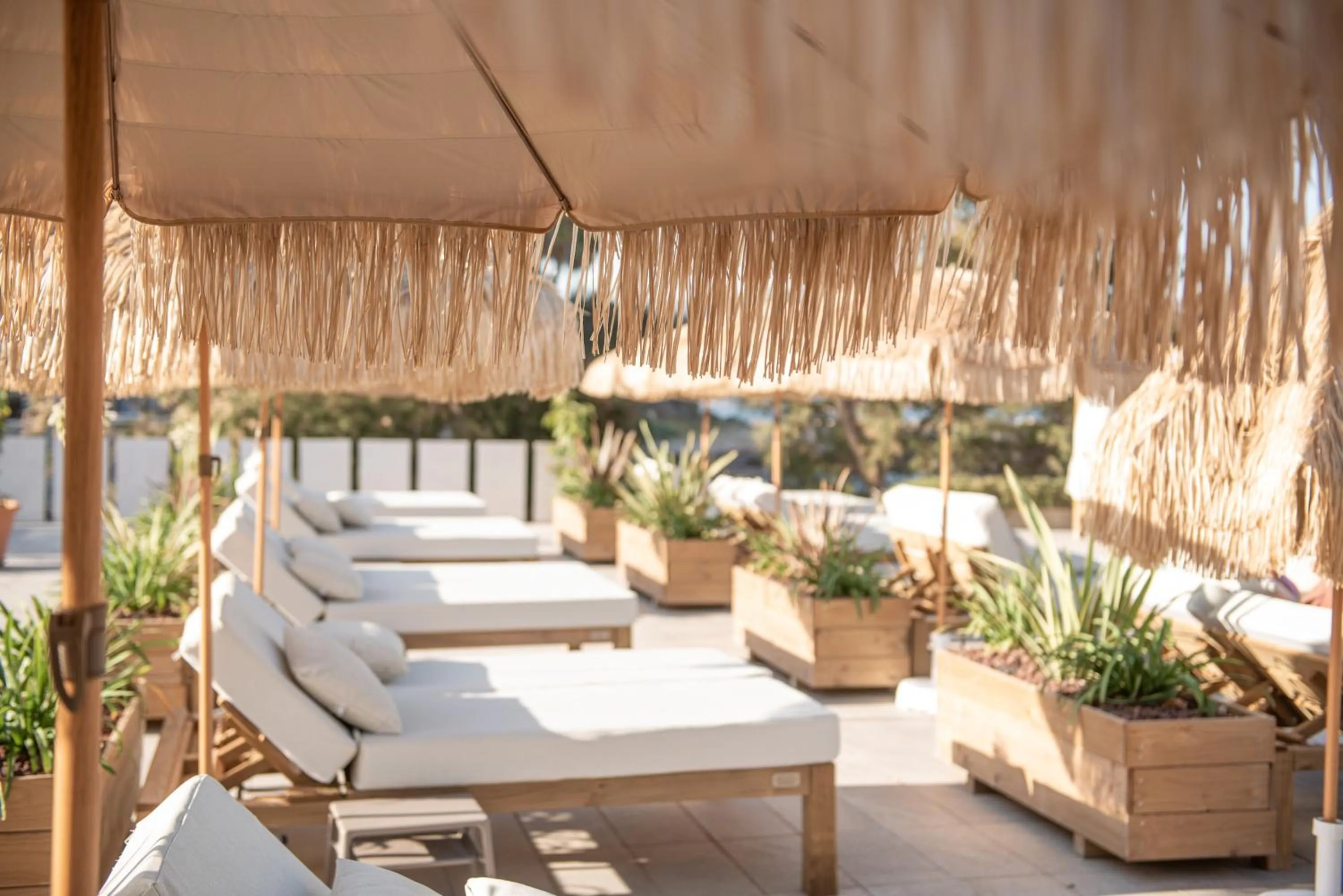 Hotel Atolon & Kaafu Beach Club