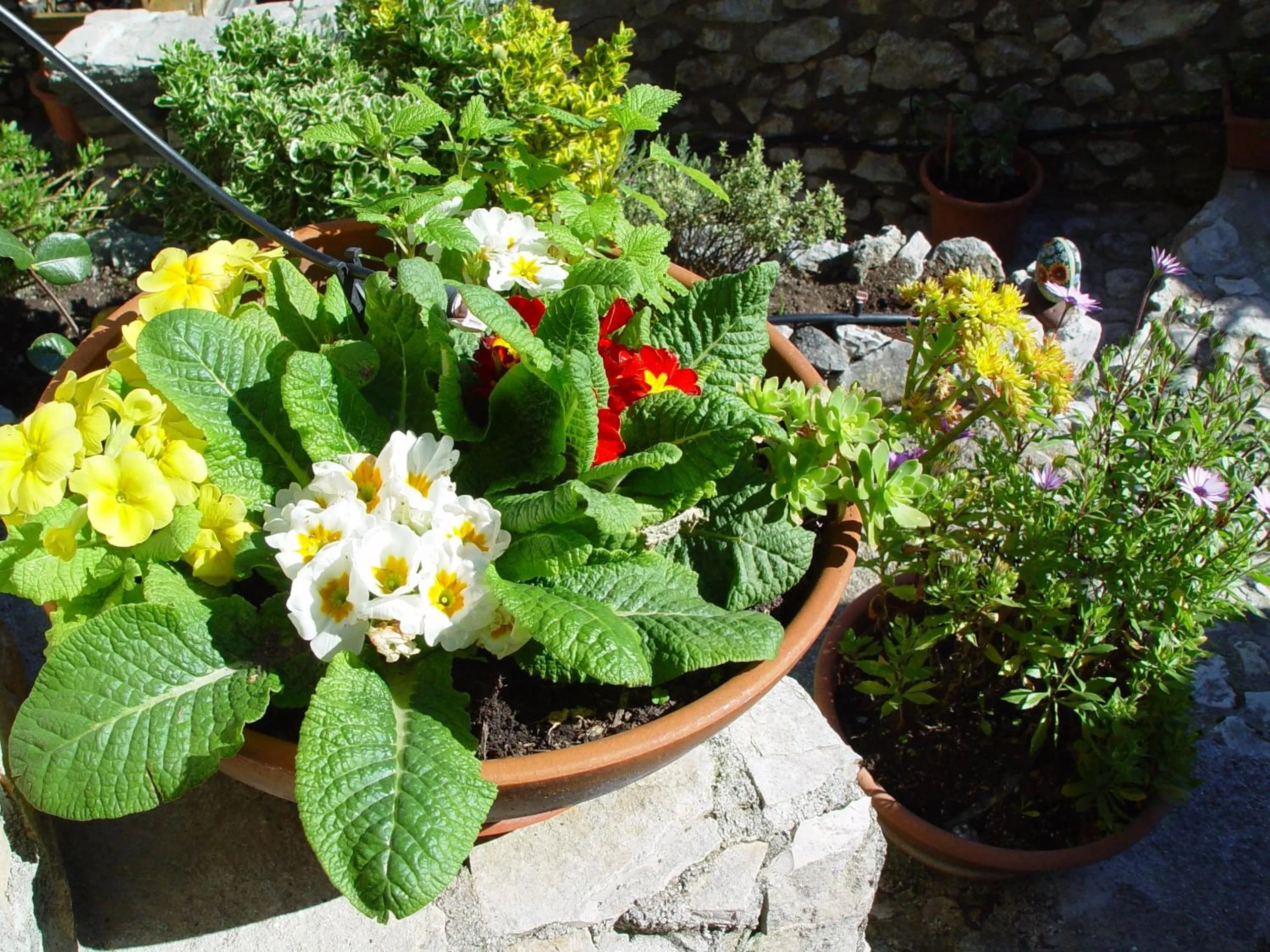 Decorative detail in B&B Dell' Artista