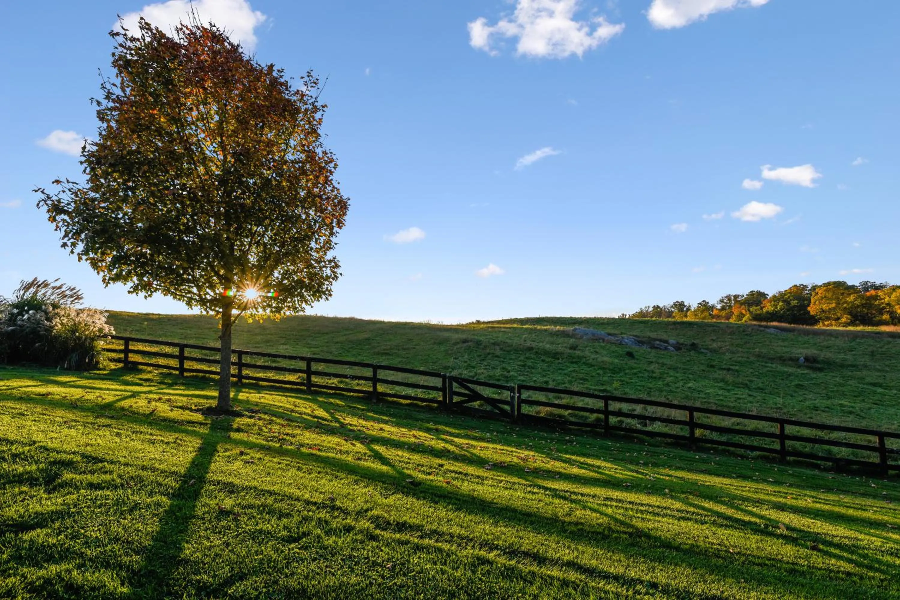 Natural landscape in Goodstone Inn & Restaurant