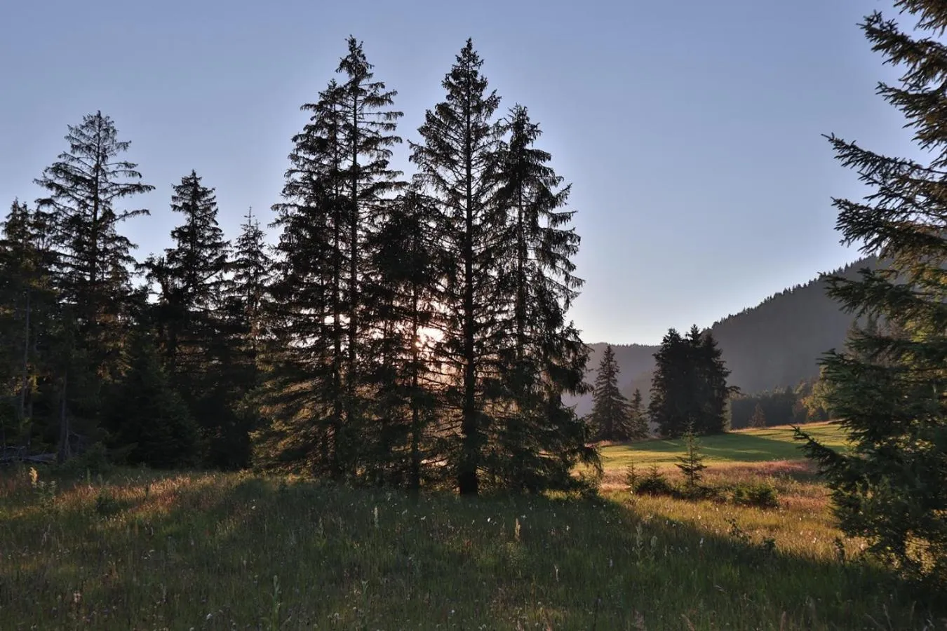 Neighbourhood in Ruhehotel & Naturresort Rehbach - Adults only