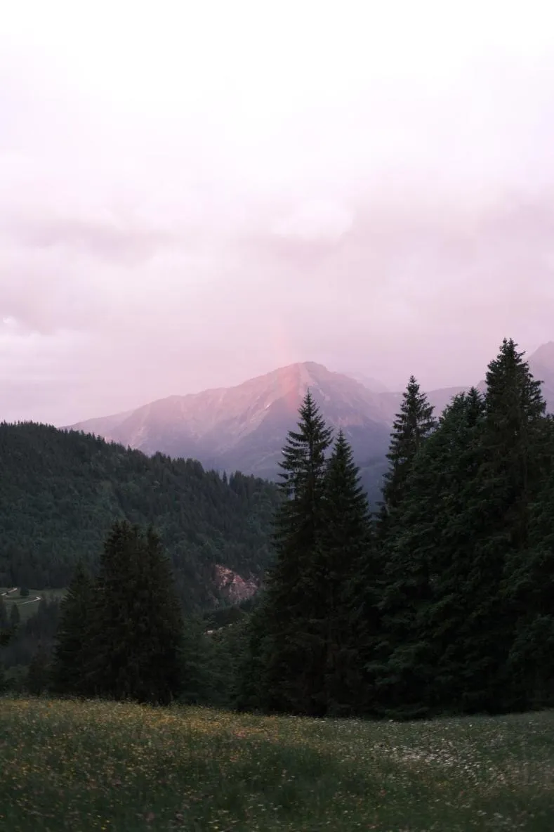 Sunset in Ruhehotel & Naturresort Rehbach - Adults only