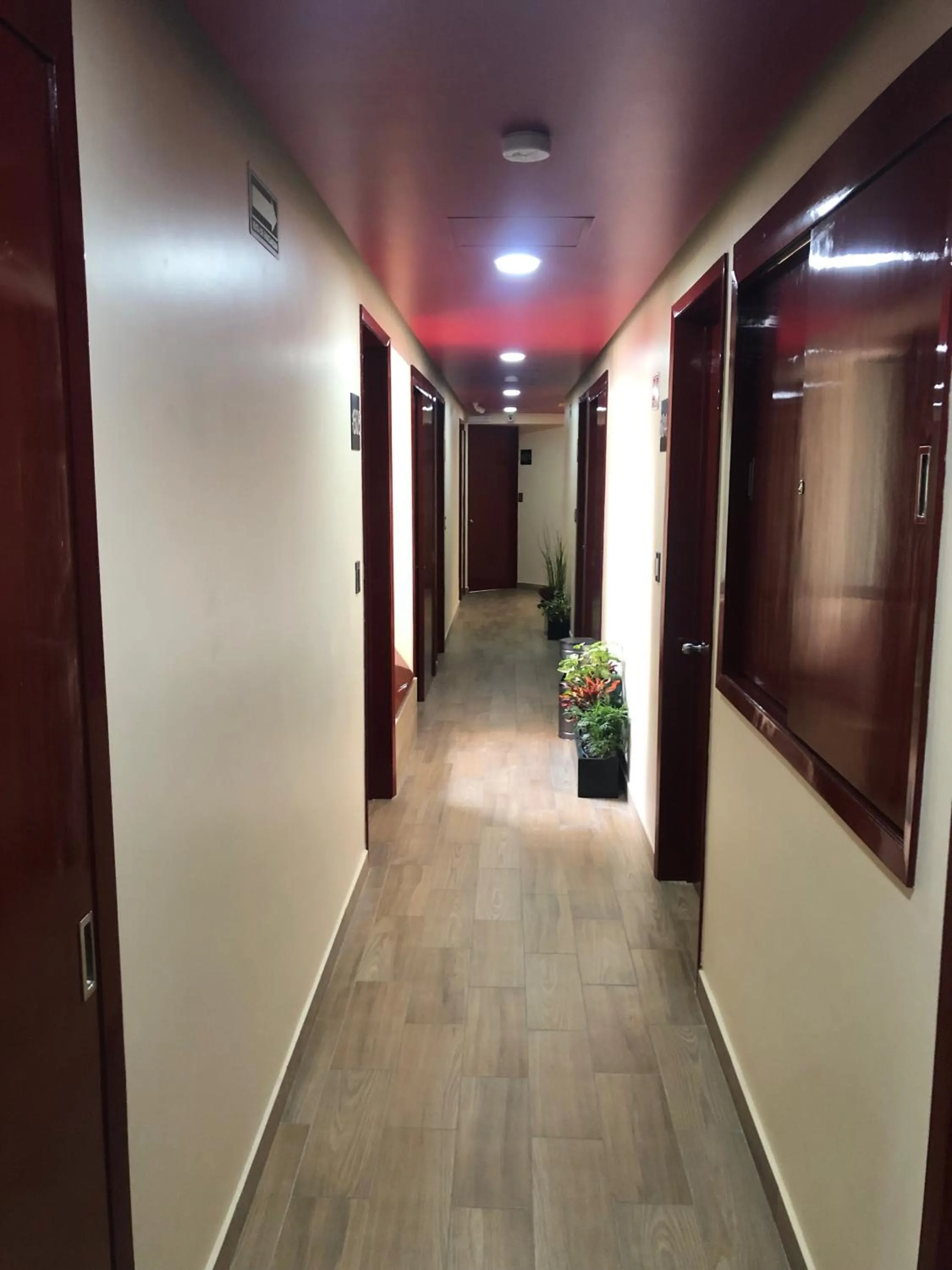 Area and facilities in Hotel Jard Inn Adult Only